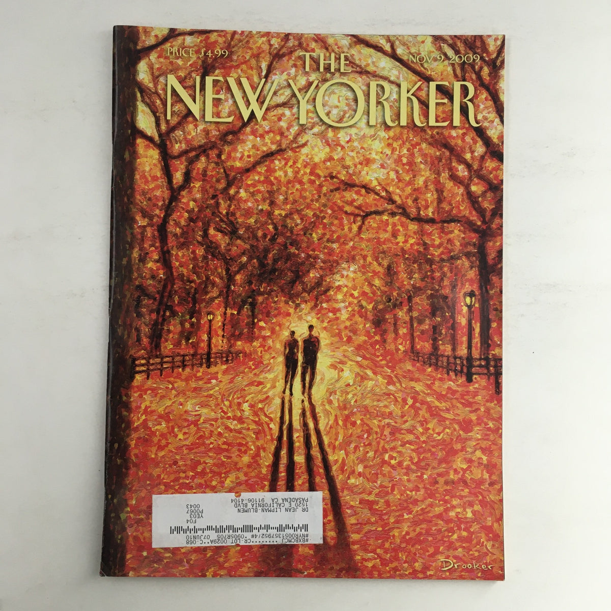 Cover of The New Yorker November 9 2009 featuring autumn scenery and couple walking, illustrated by Eric Drooker.