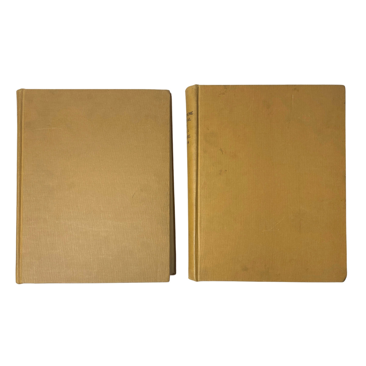 Side view of two volumes of the Ladies' Home Journal Bound Magazine 1954, displaying the plain gold covers.