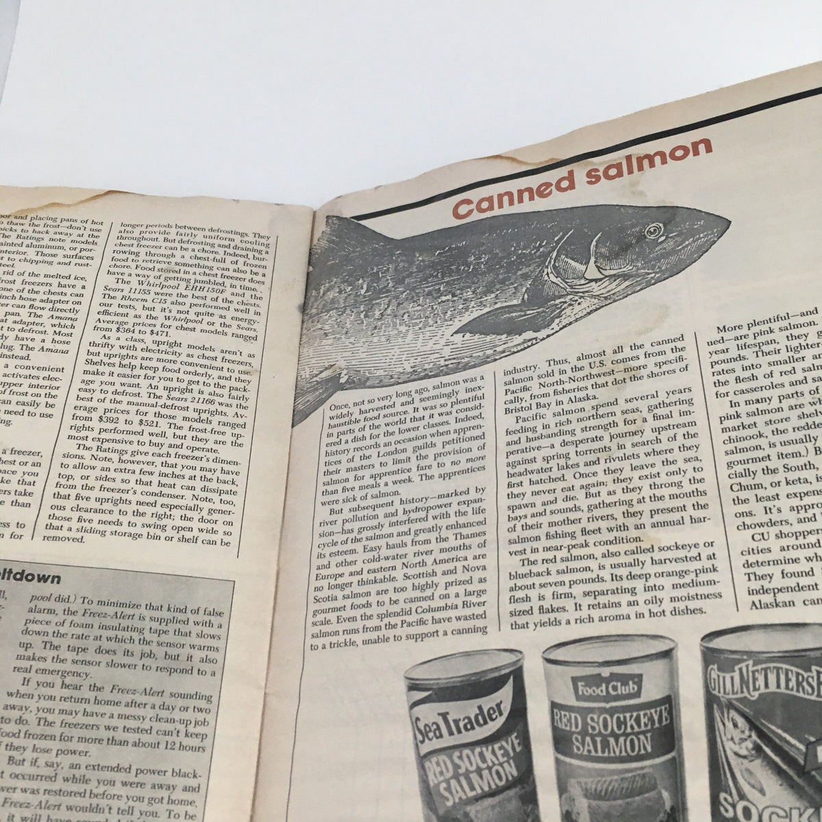 Page from Consumer Reports Magazine August 1981 discussing canned salmon, illustrating the history and significance of canned fish products.