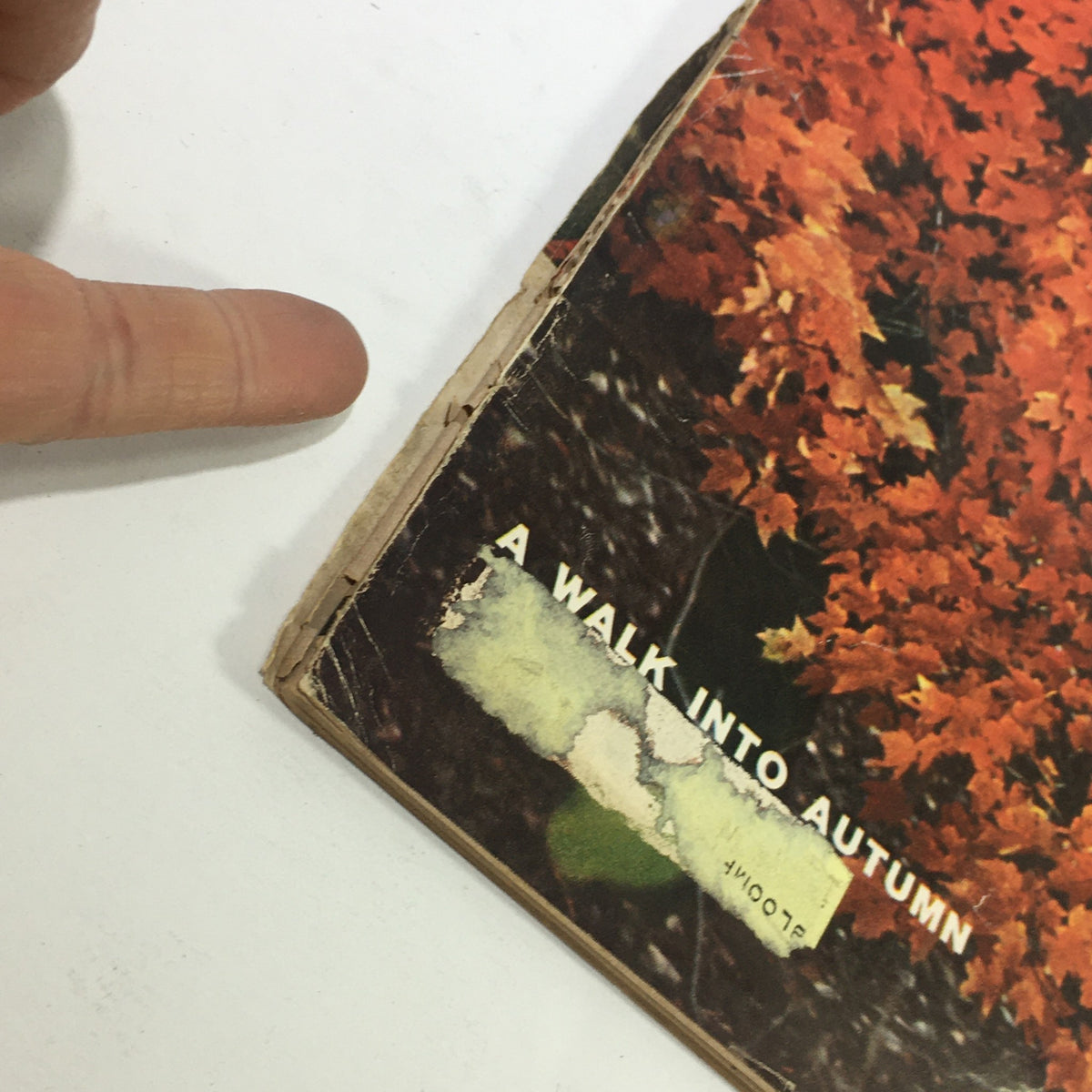 Close-up of the edge of the vintage Sports Illustrated Magazine from October 28, 1957, highlighting the title 'A Walk Into Autumn' with minor wear.