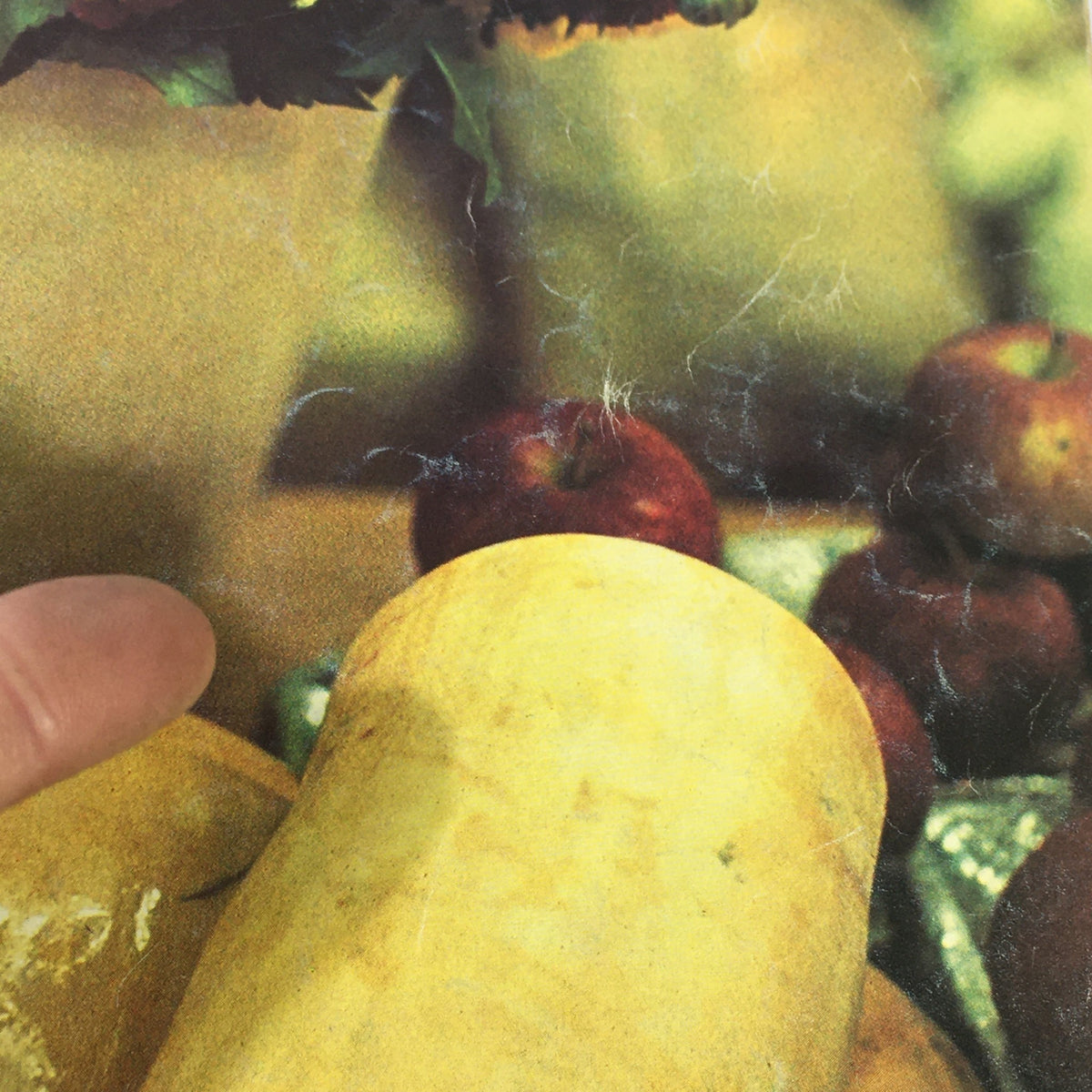 Close-up detail from the cover of VTG Gourmet The Magazine of Good Living September 1970, highlighting vibrant fruits and textures.