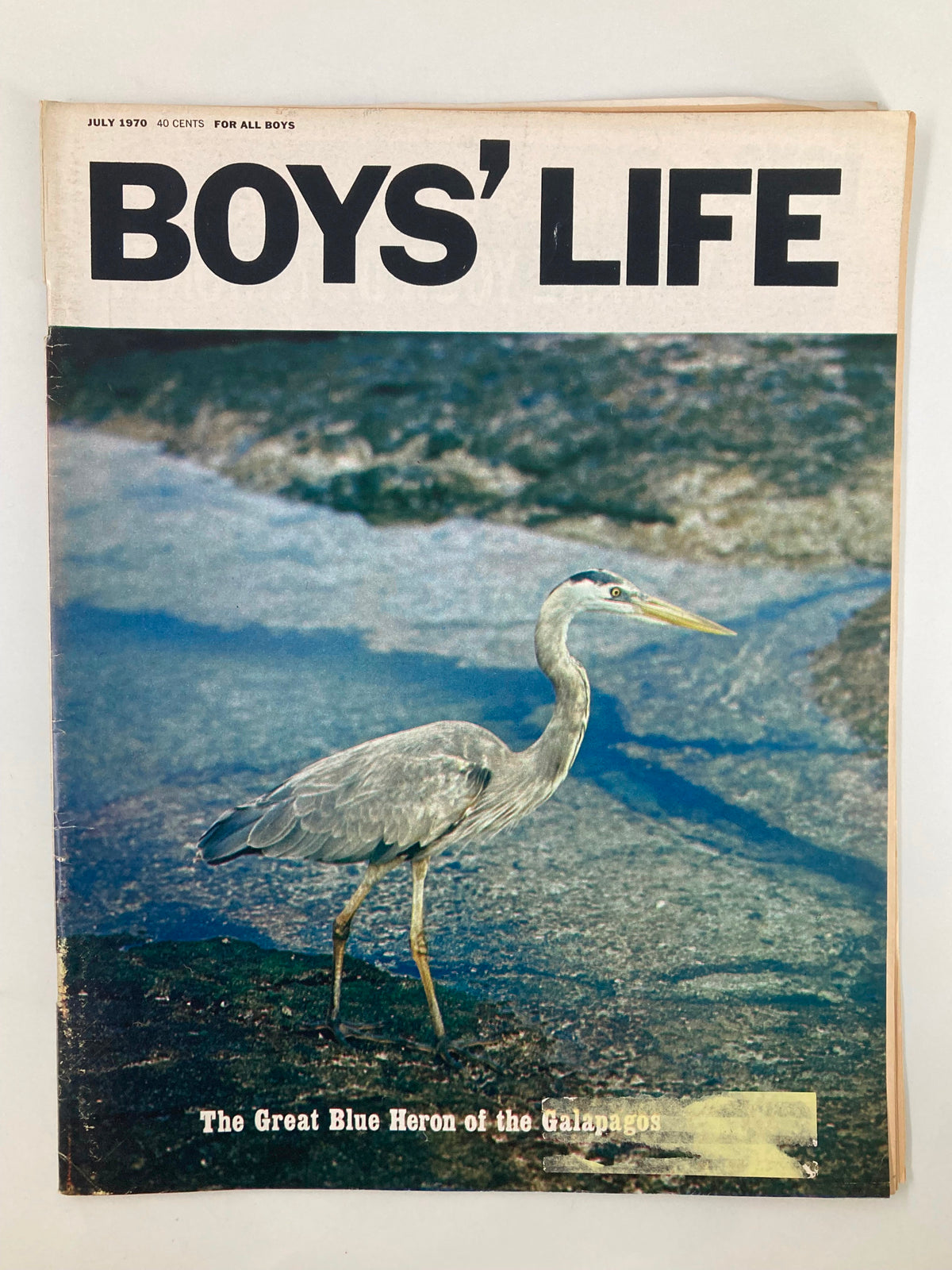 Front cover of Boys' Life Magazine July 1970 featuring 'The Great Blue Heron of the Galapagos' with an image of the heron and magazine title.