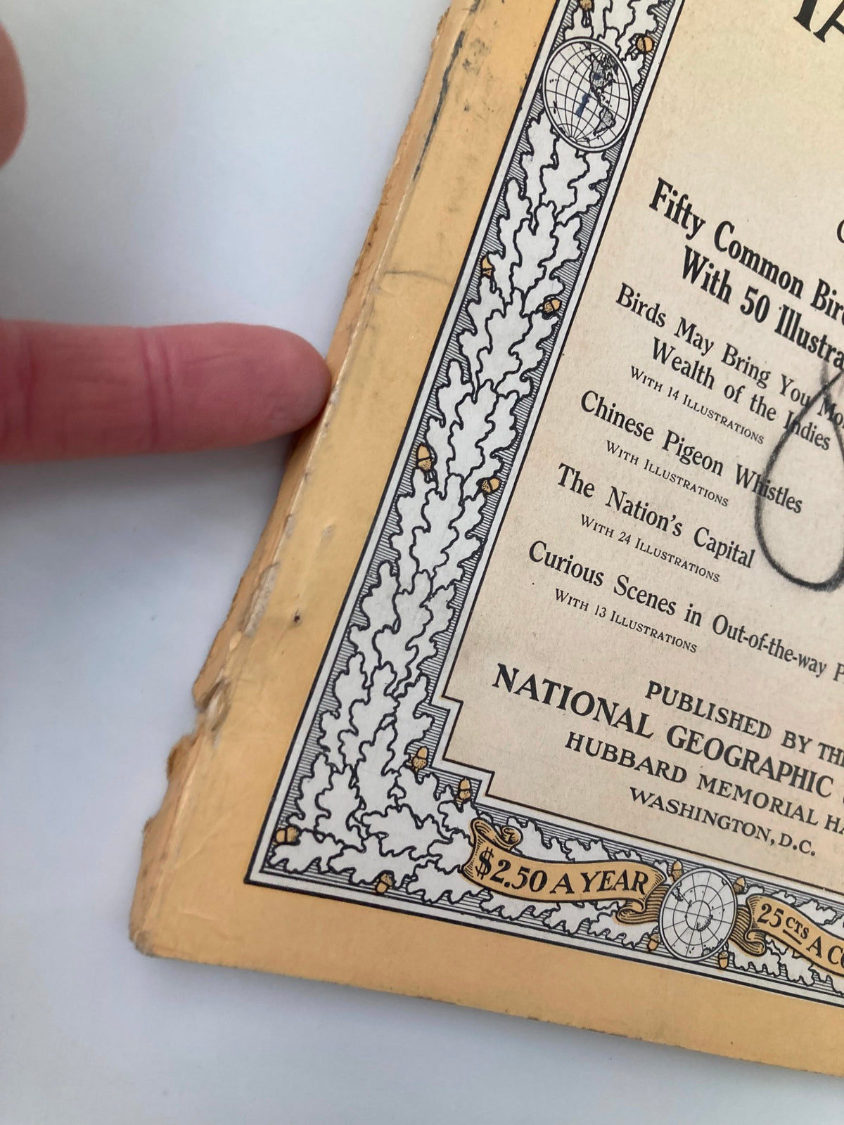 Side view of the June 1913 National Geographic Magazine cover, highlighting its vintage features and wear, emphasizing its collectible status as a publication focused on "Fifty Common Birds of Farm and Orchard".