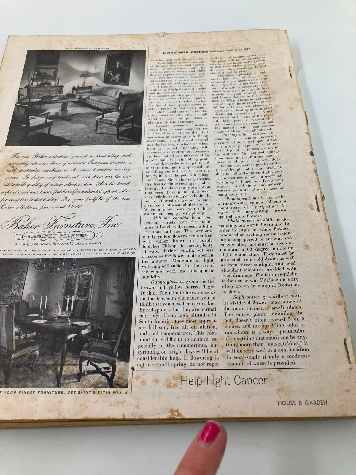 Page from VTG House & Garden Magazine November 1965 titled 'How To Give Dashing Parties', featuring an article about furniture and home decor with a call to 'Help Fight Cancer'.