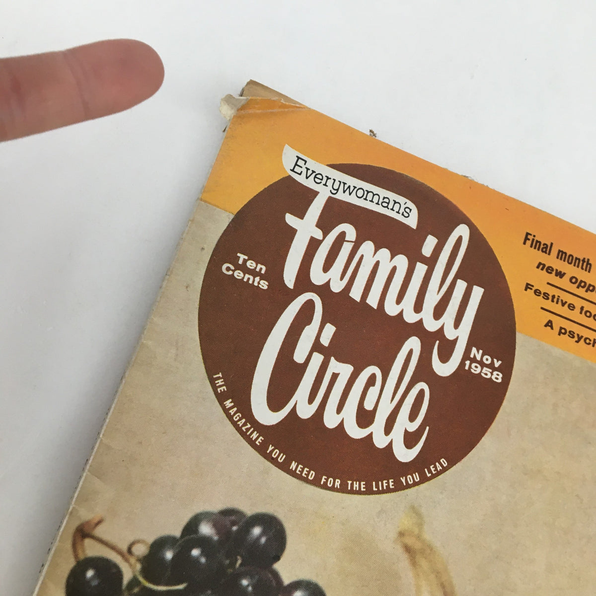 Close-up of the Family Circle Magazine November 1968 title highlighting festive food ideas and a nostalgic design.