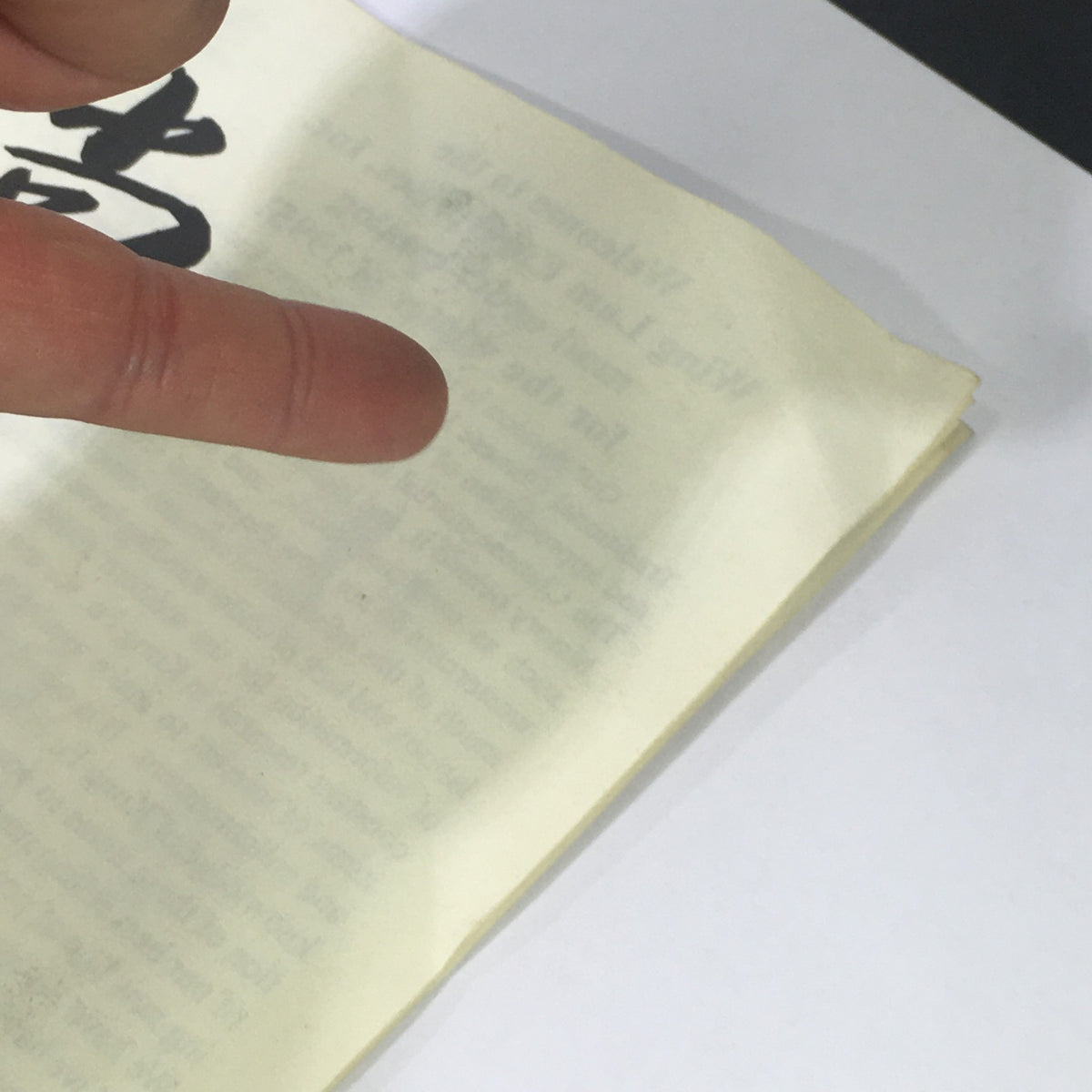 Close-up of the spring 1995 Wing Lam Enterprises Inc. Mail Order Catalog, showcasing a finger pointing at highlighted text from the catalog, titled 'Elevate Martial Spirit'.