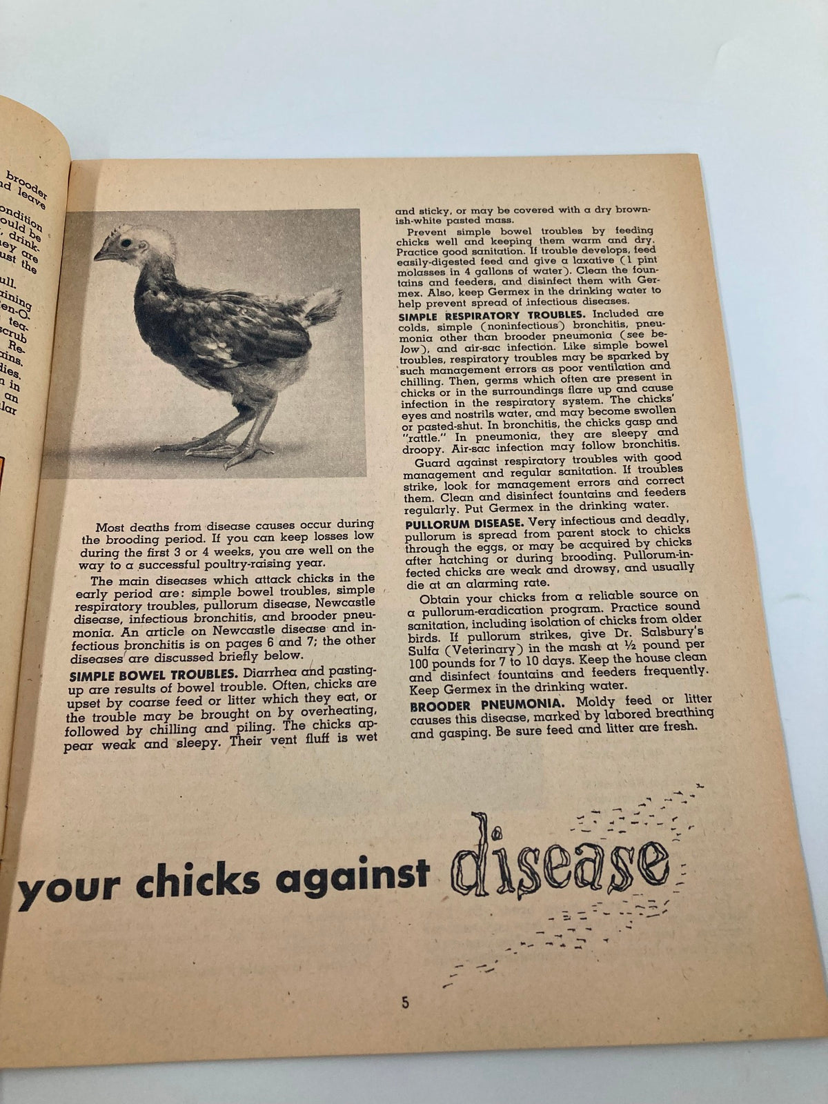 Educational content page from the 1952 Dr. Salsbury's Poultry Health Messenger, detailing poultry diseases and management strategies with a photo of a chick.