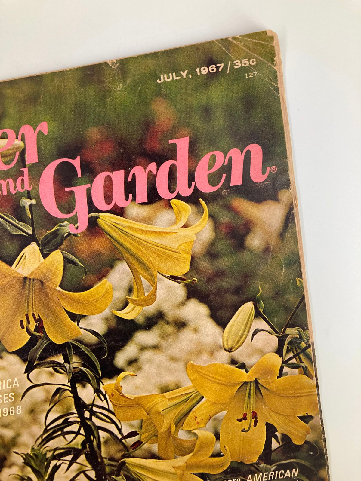 Close-up view of the cover of VTG Flower and Garden Magazine July 1967 showcasing hybrid lilies and magazine title.