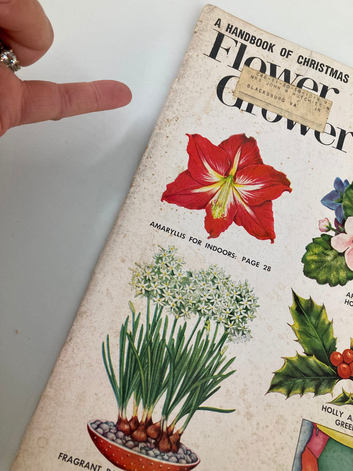 Close-up of VTG The Home Garden Magazine December 1958 cover highlighting the Amaryllis plant, showcasing vintage gardening advertising and illustrations.