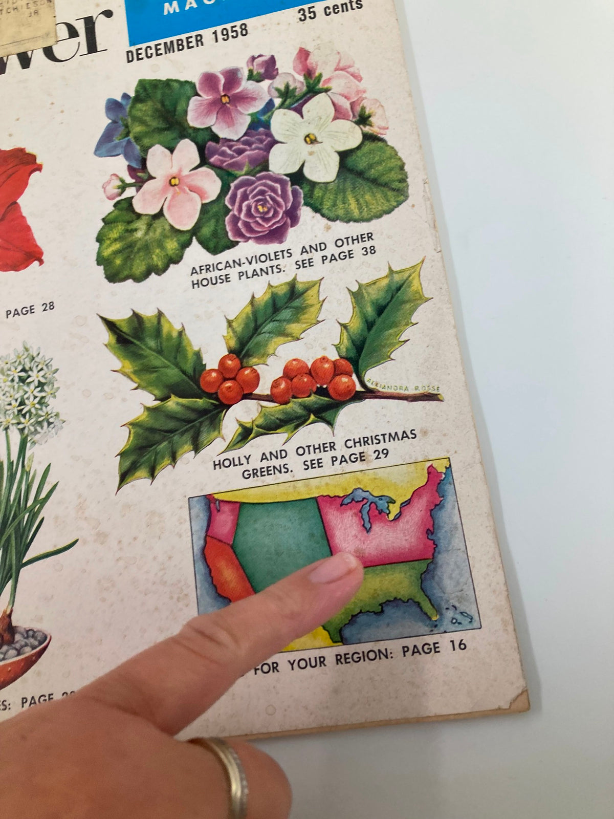 Detail view of VTG The Home Garden Magazine December 1958 cover pointing to the Holly plant and regional gardening tips, reflecting mid-century gardening culture.