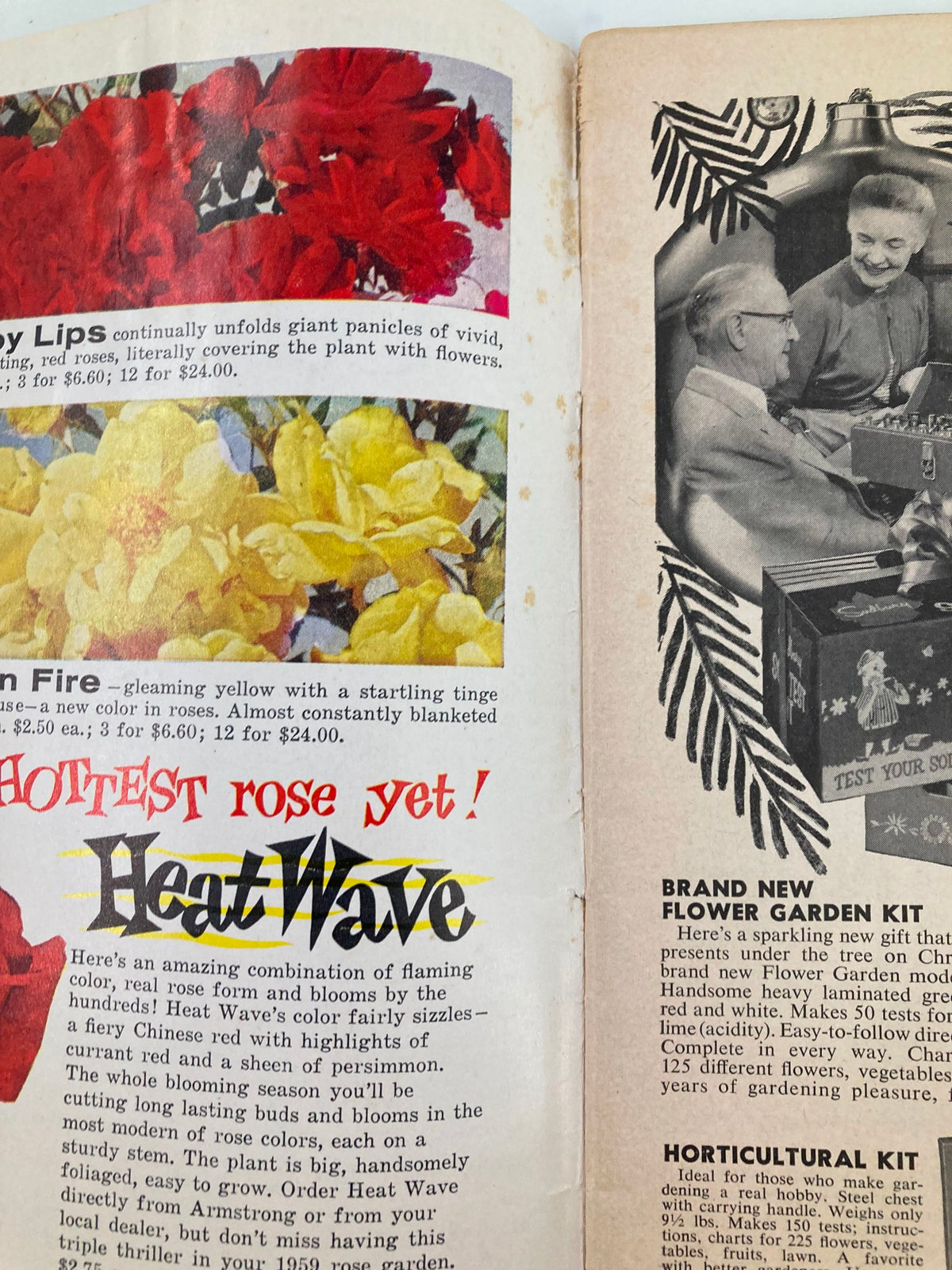 Interior page of VTG The Home Garden Magazine December 1958 displaying vintage rose advertising, revealing floral varieties and gardening promotion from the era.