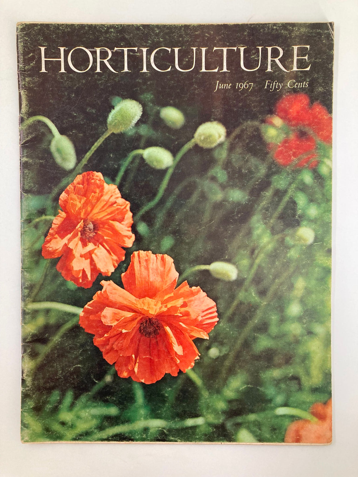 Cover of VTG Horticulture Magazine June 1967 showcasing vibrant orange poppies against a lush green background.