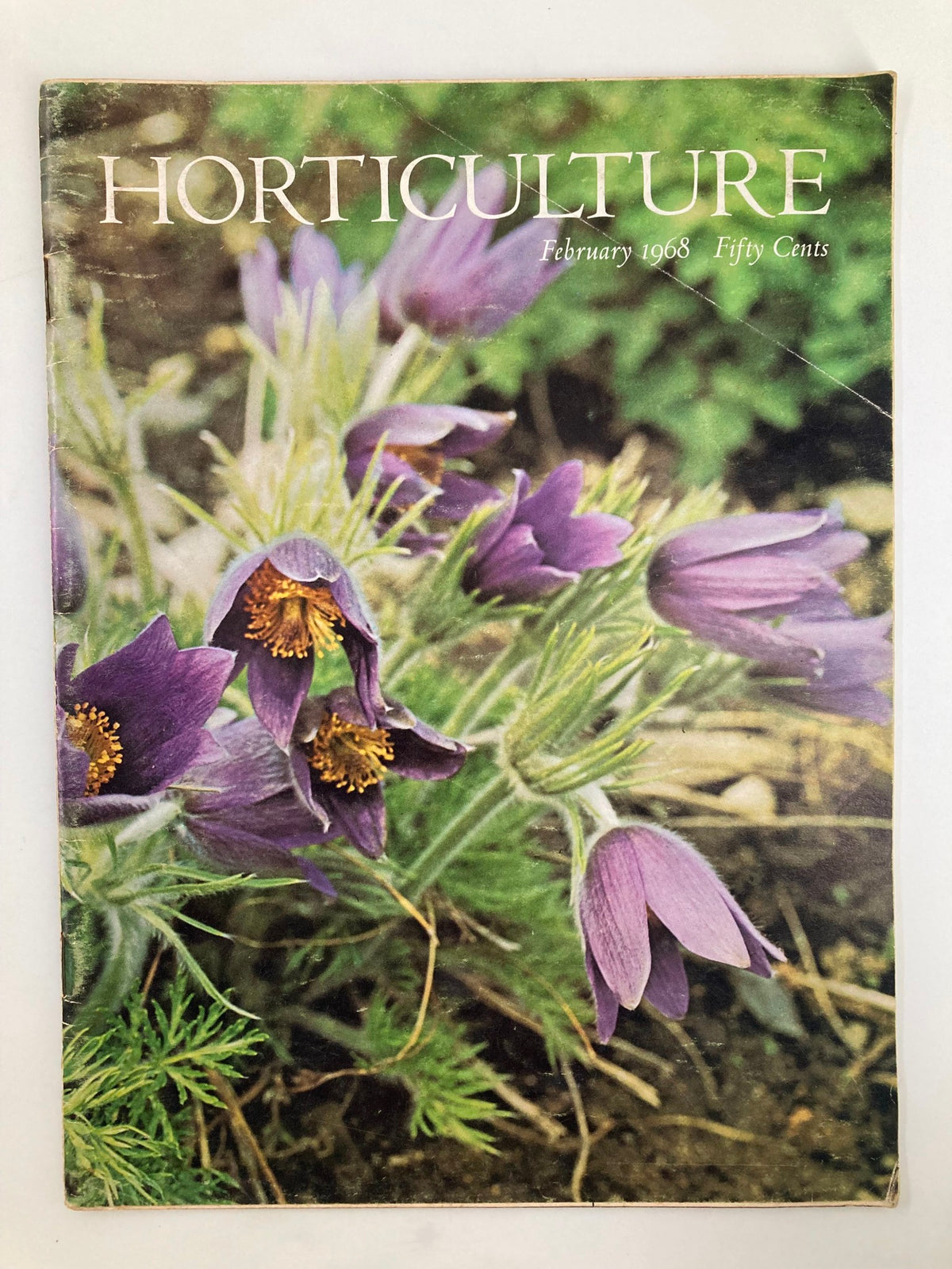 Cover image of VTG Horticulture Magazine from February 1968 featuring vibrant purple flowers and lush greenery, highlighting the theme 'Camellias as Indoor Plants'.