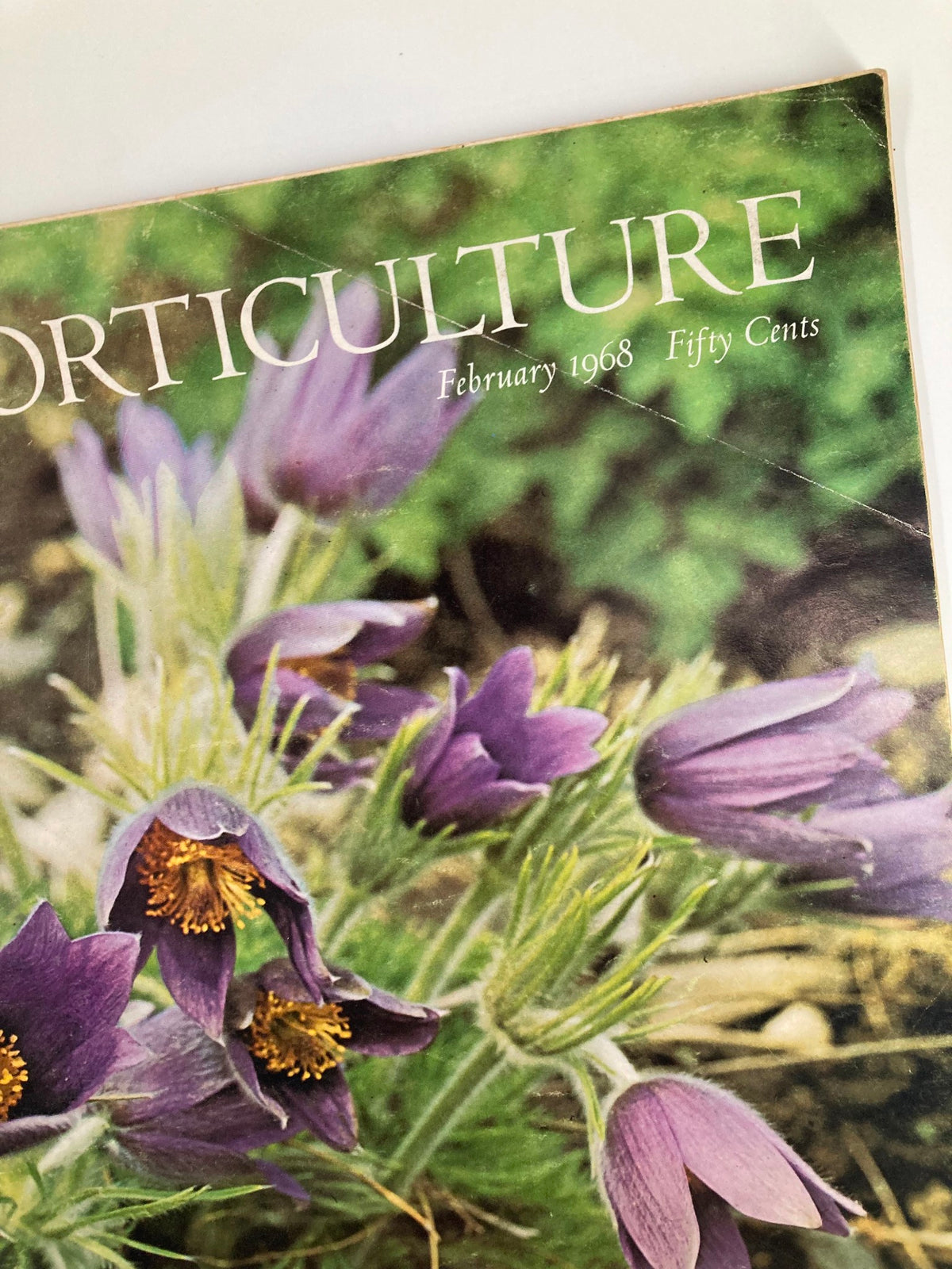 Cover of VTG Horticulture Magazine February 1968 featuring purple flowers with the title 'HORTICULTURE' and publication date.