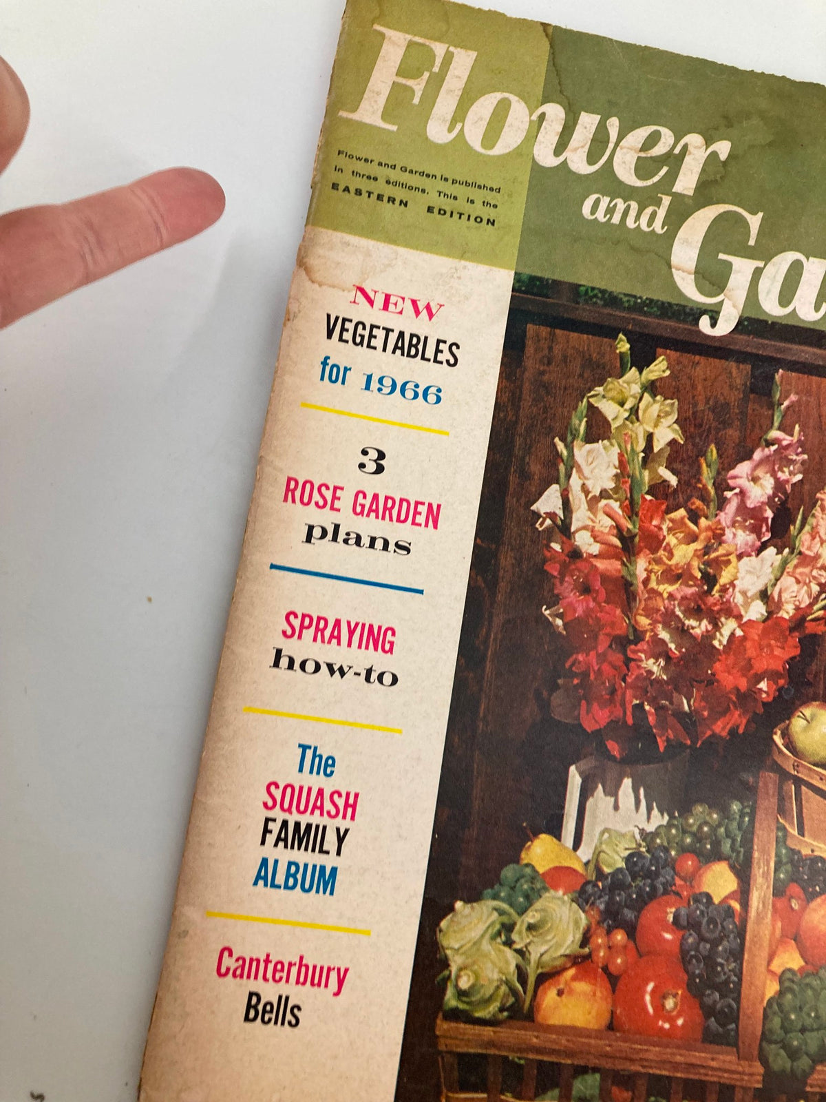 Cover of VTG Flower and Garden Magazine March 1966 featuring vibrant floral designs, showcasing articles on new vegetables for 1966 and the Squash Family Album.