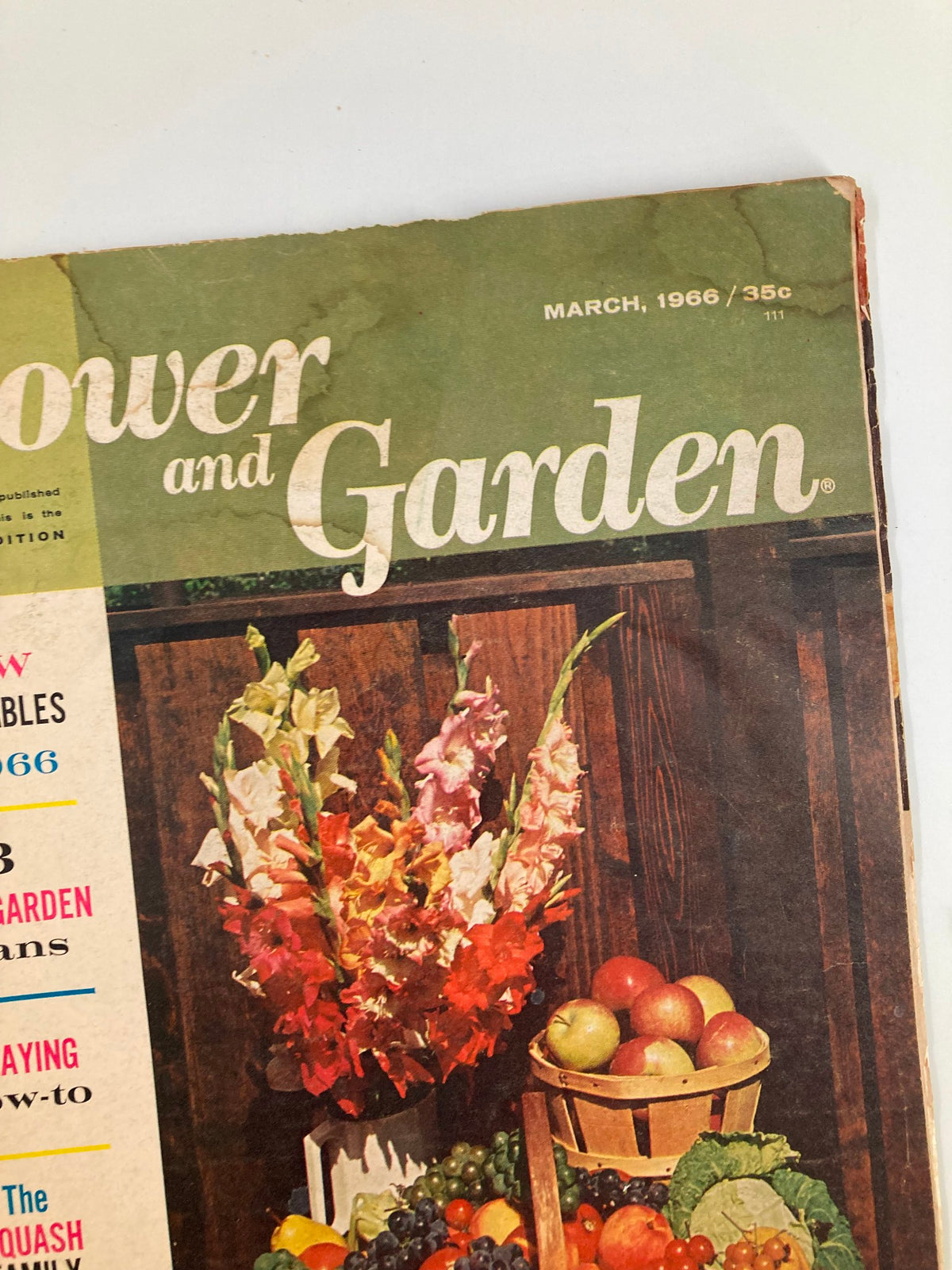 Another angle of the VTG Flower and Garden Magazine March 1966 cover with striking floral arrangements and highlights on gardening topics from the 1960s.