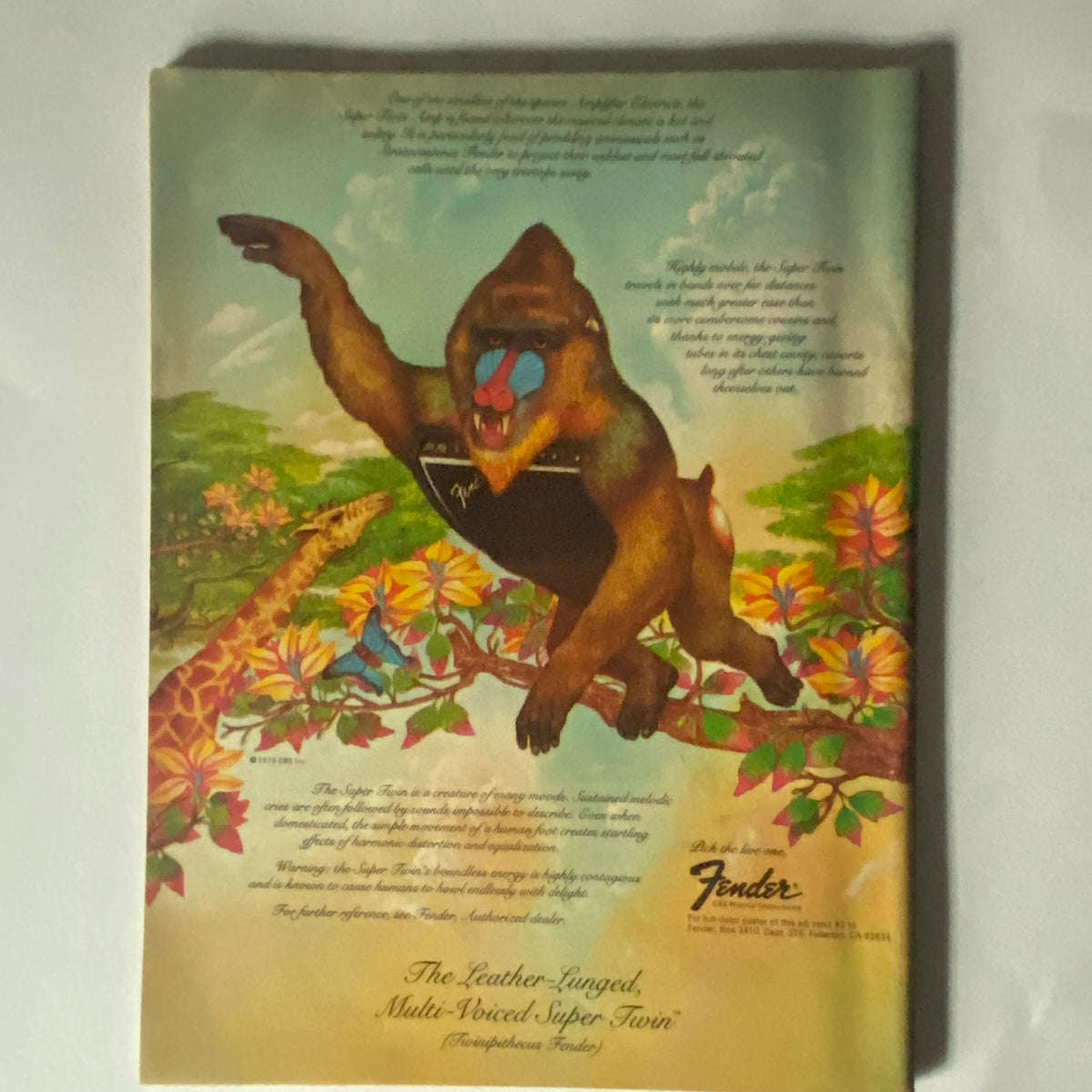 Back cover of VTG Hit Parader Magazine July 1977 featuring a colorful advertisement for Fender guitars, depicting artistic designs and a humorous monkey illustration.