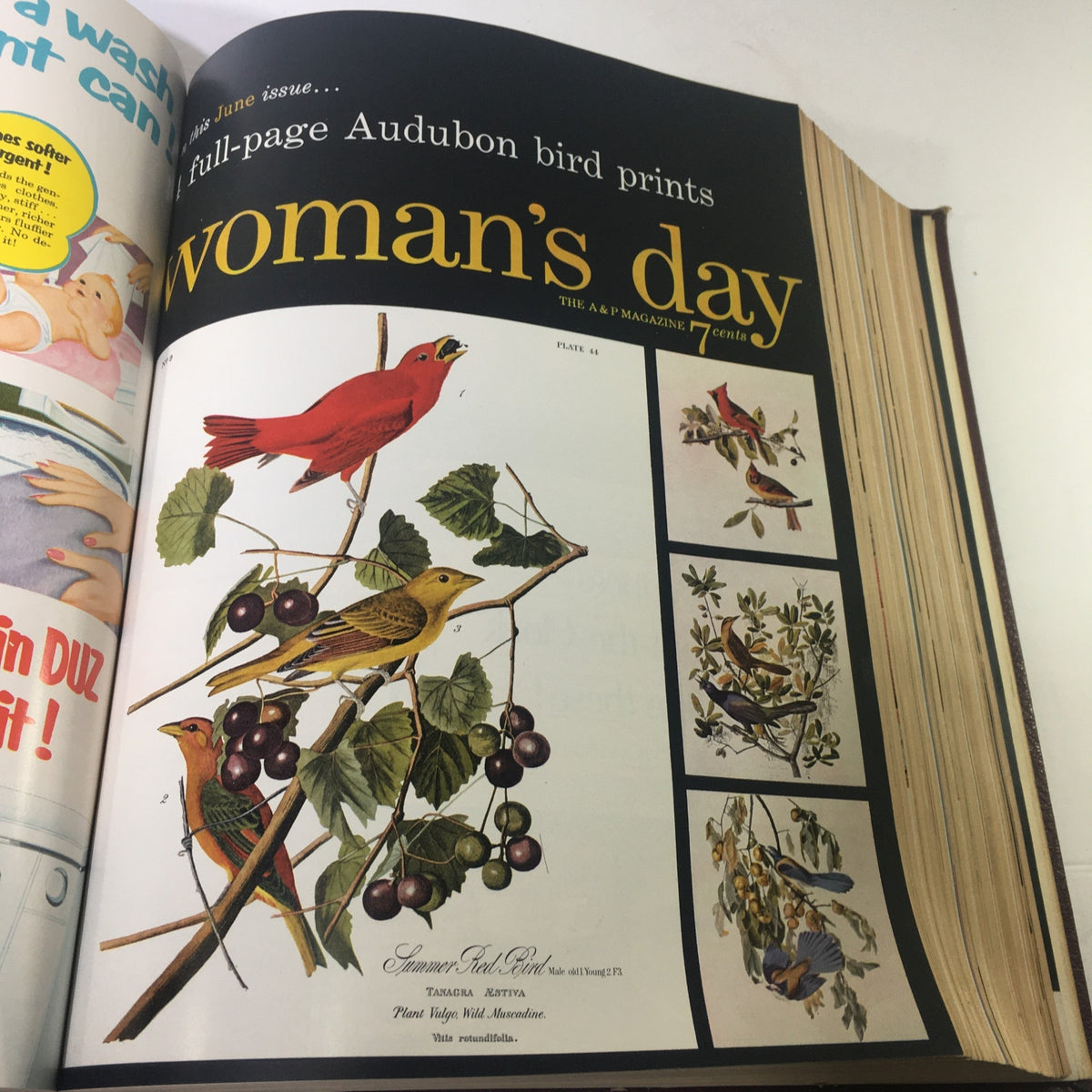 June issue of the 1954 Woman's Day Magazine displaying Audubon bird prints with colorful illustrations.