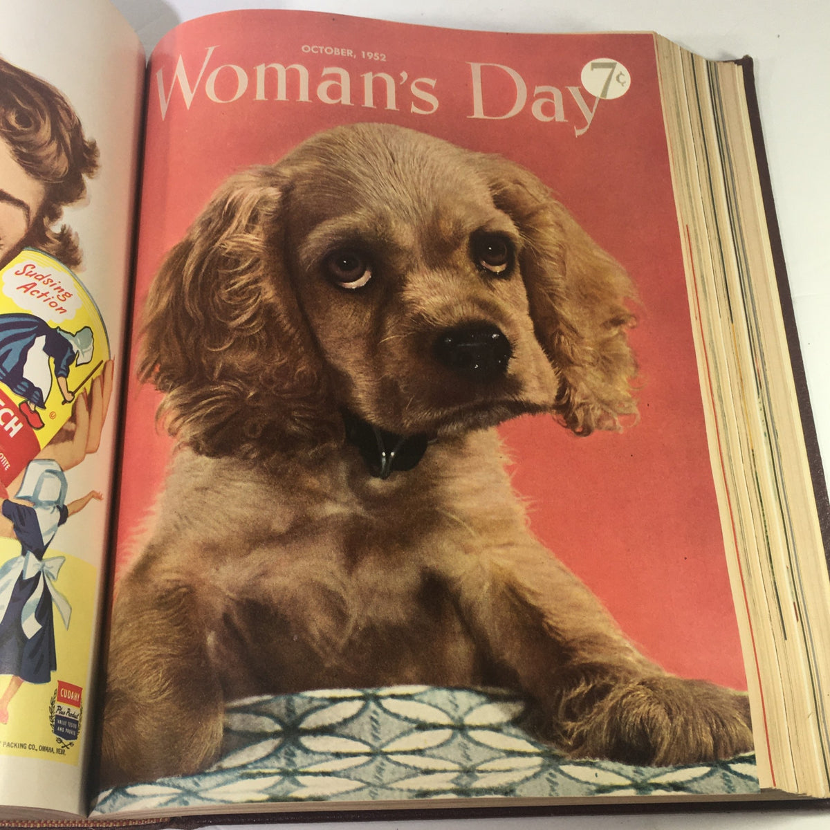 Cover of the October 1952 Woman's Day Magazine featuring a charming cocker spaniel puppy, embodying the warmth and charm of vintage pet illustrations.
