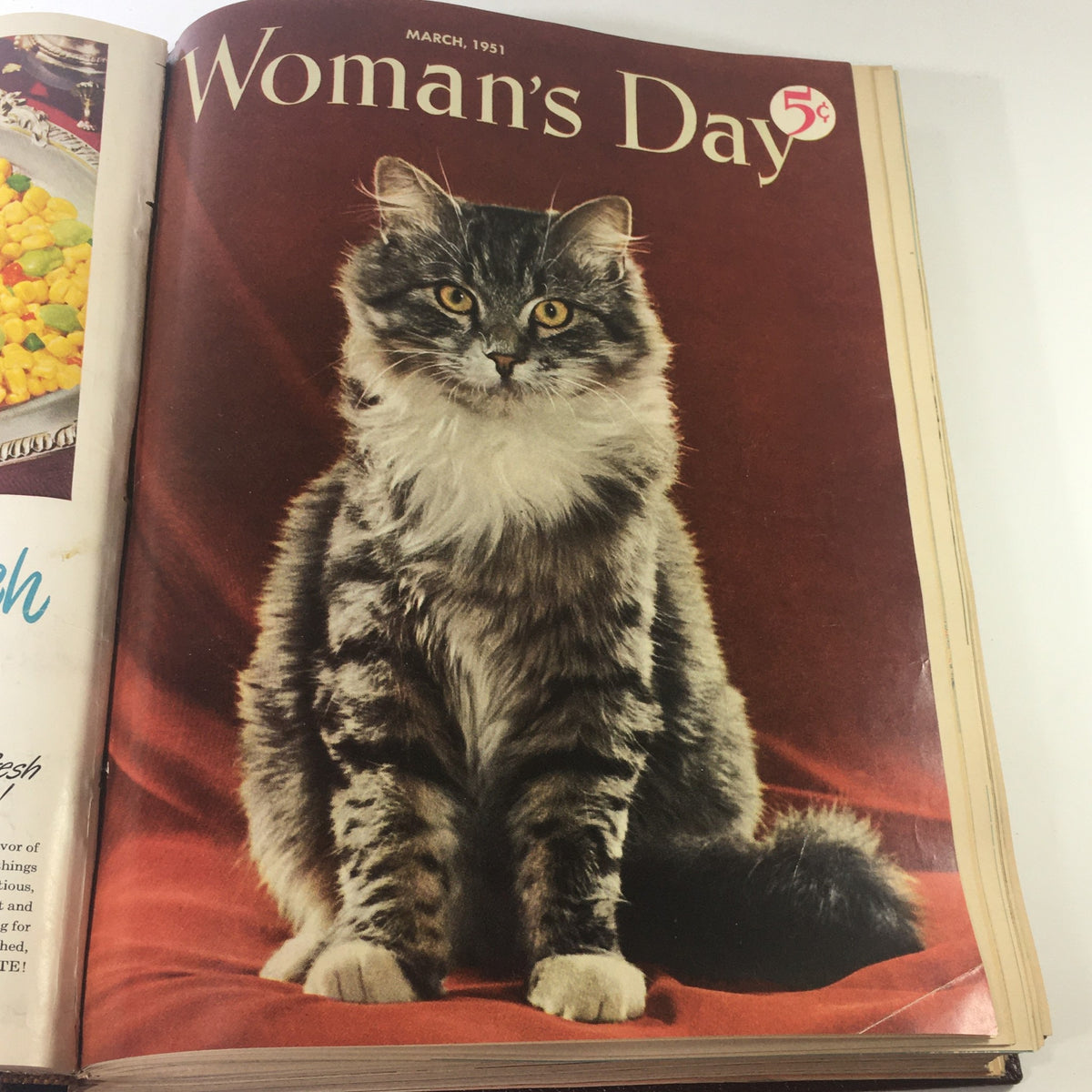 Cover of March 1951 Woman's Day Magazine featuring a beautiful cat portrait with a rich red background.
