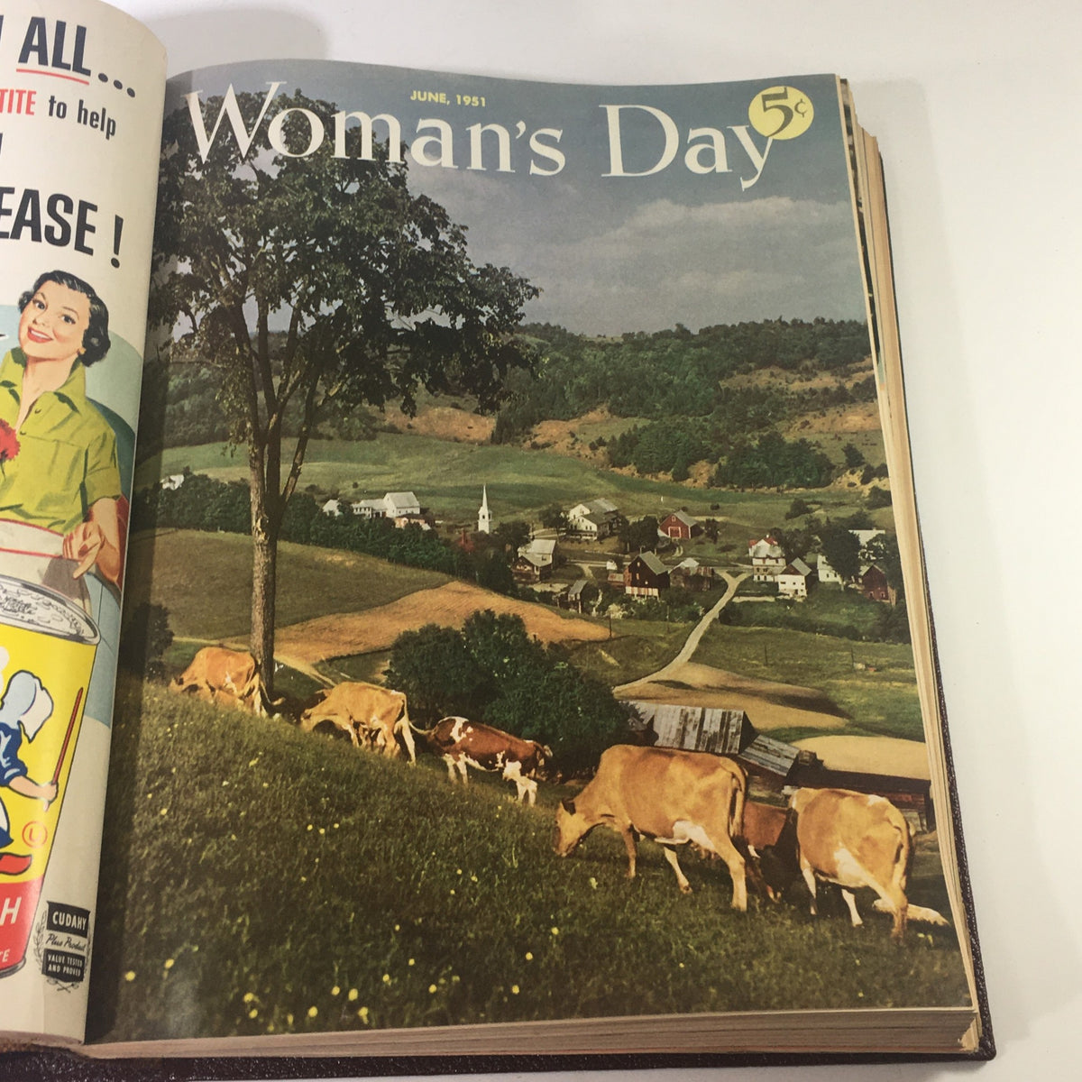 Cover of June 1951 Woman's Day Magazine depicting a pastoral scene with cows grazing in the countryside.