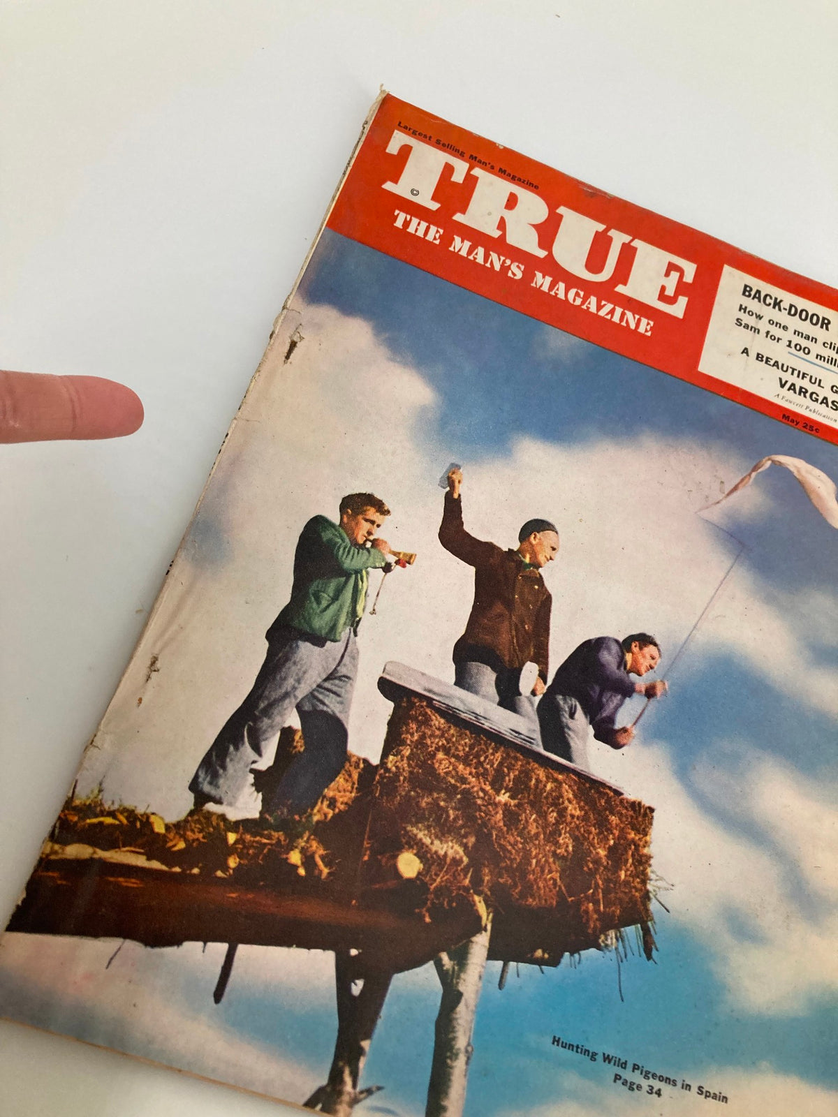 TRUE The Man's Magazine May 1952 cover captured from an angle, highlighting the action of men on a perch during a wild pigeon hunt in Spain.