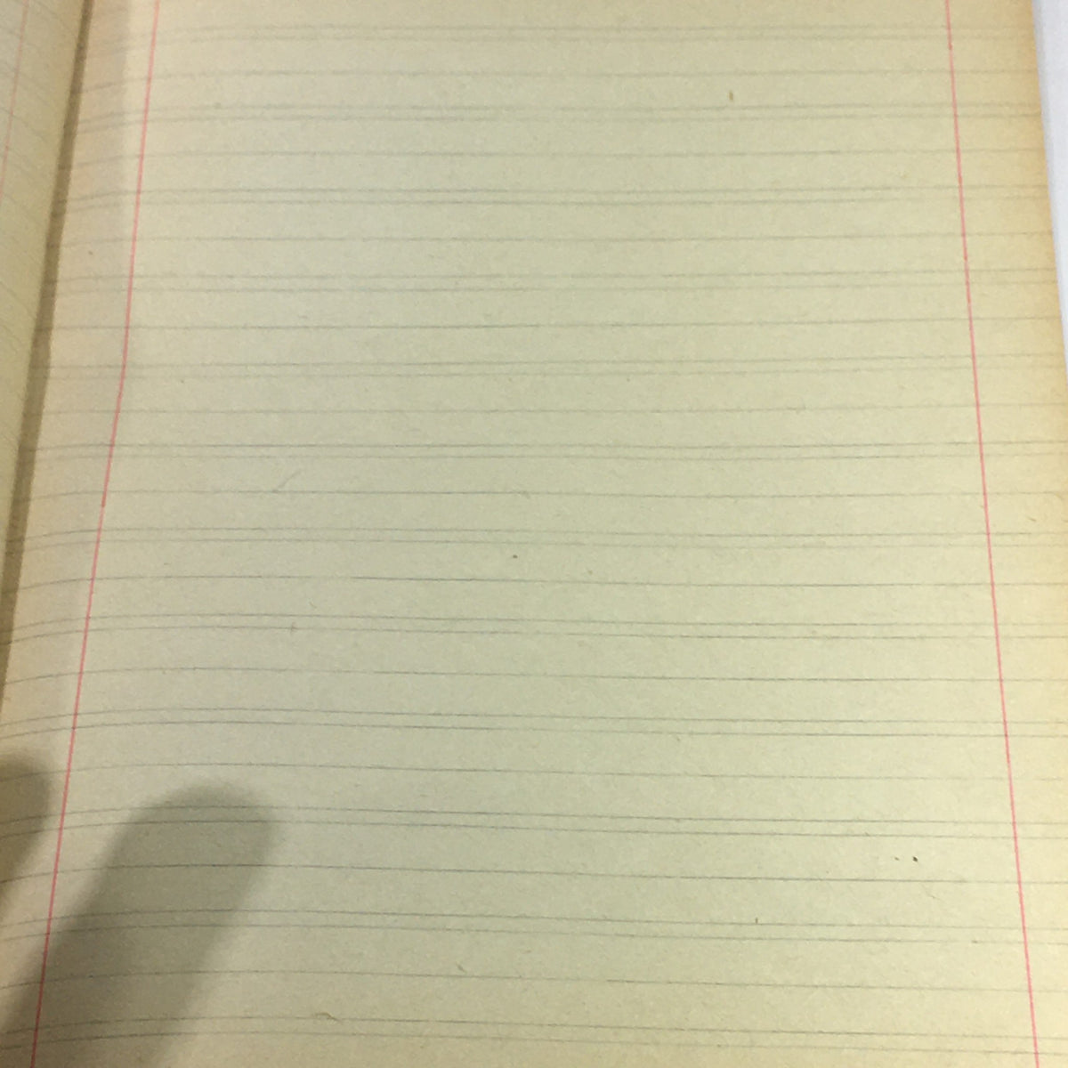 Blank page from the vintage magazine Opera Nazionale Balilla, indicating the unused space for notes, belonging to the historical edition featuring S. M. Vittorio Emanuele III IL Re Vittorioso.