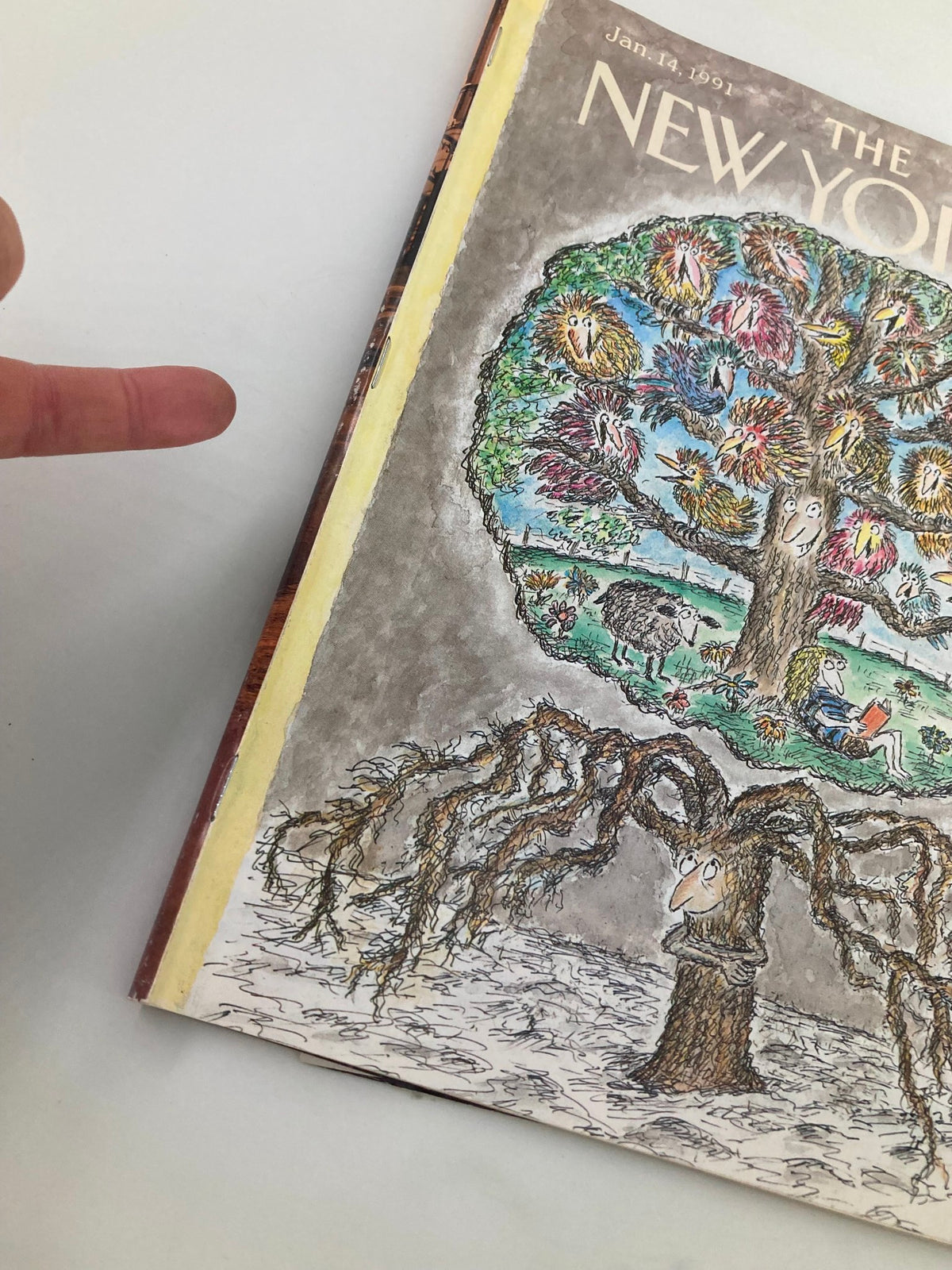 Close-up view of The New Yorker Full Magazine January 14 1991 cover, highlighting the 'Tree of Life' illustration by Edward Koren, with a focus on the artistry and details of the whimsical tree.
