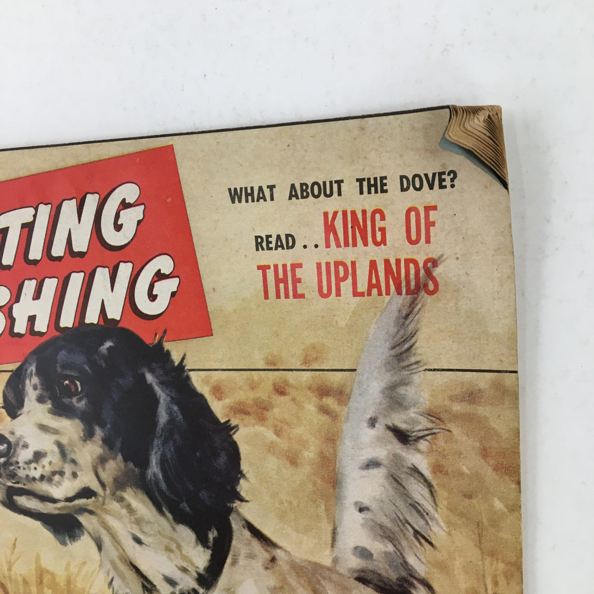 Hunting & Fishing Magazine September 1953 Vol. 30 No. 9 The King of the Uplands