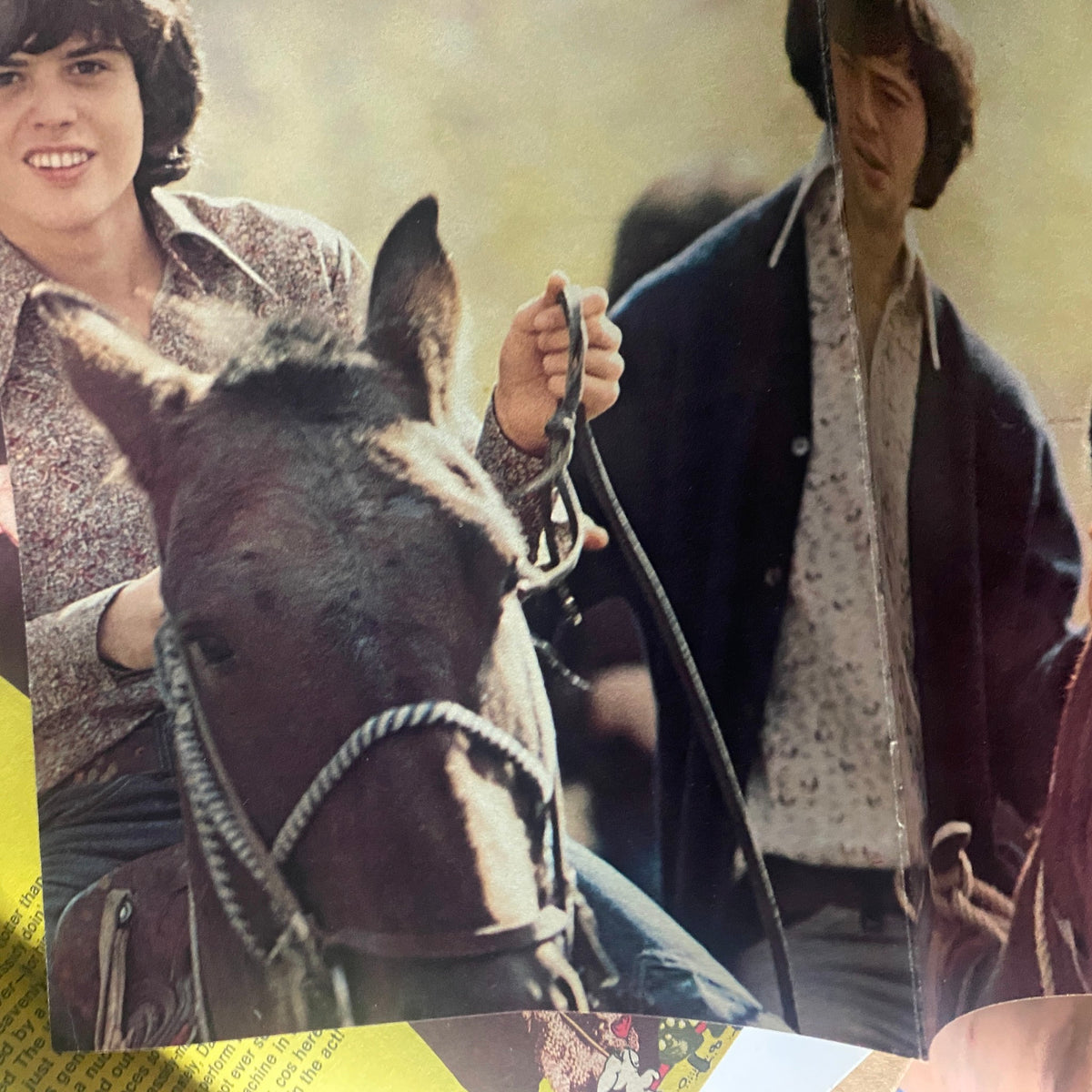 Close-up photo of a young man holding the reins of a horse from the VTG 16 SPEC Magazine September 1973, depicting casual outdoor activities popular in the 1970s.