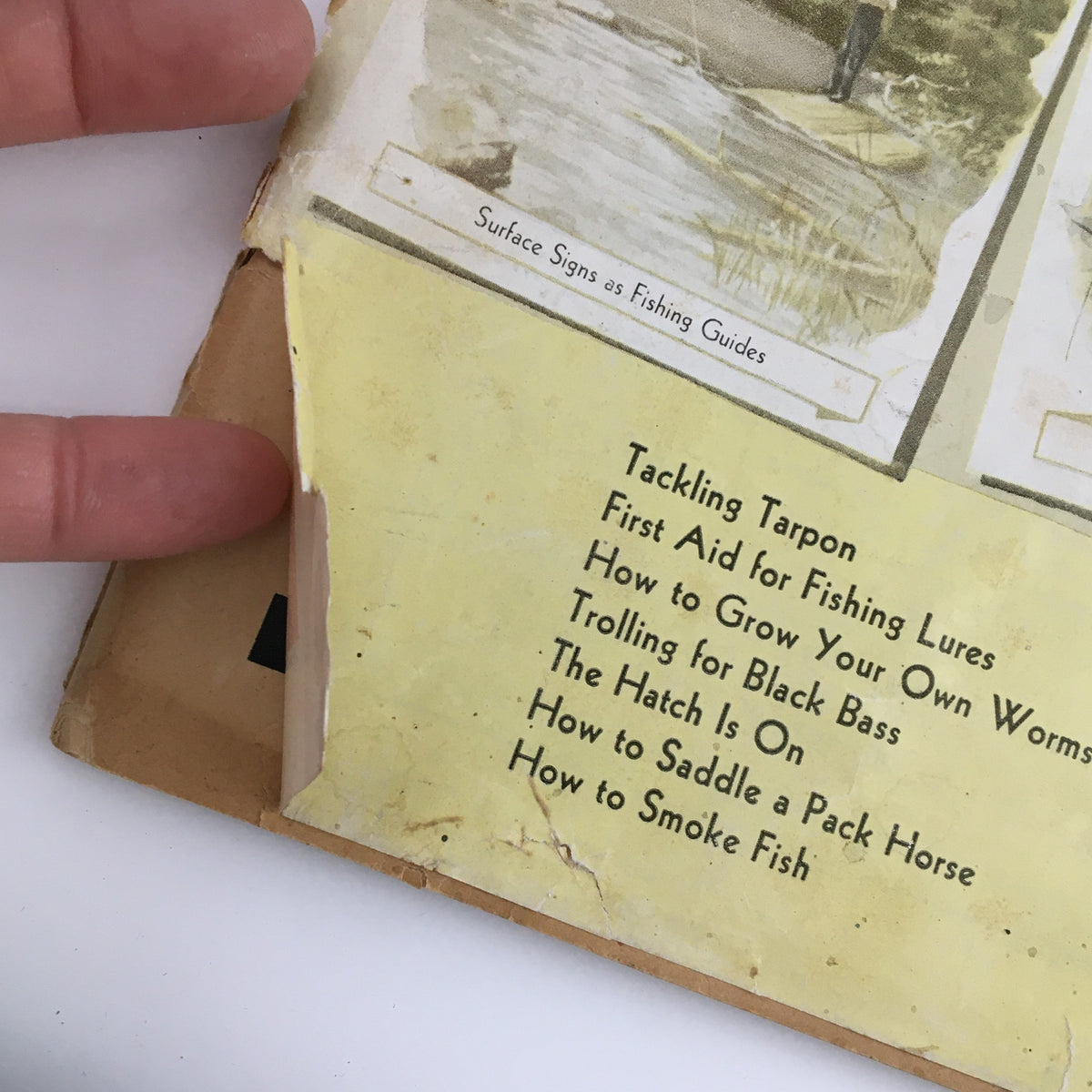 Close-up view of the back cover of Sports Afield Magazine 1953 Fishing Annual displaying fishing tips and techniques, highlighting its nostalgic value and practical advice for anglers.