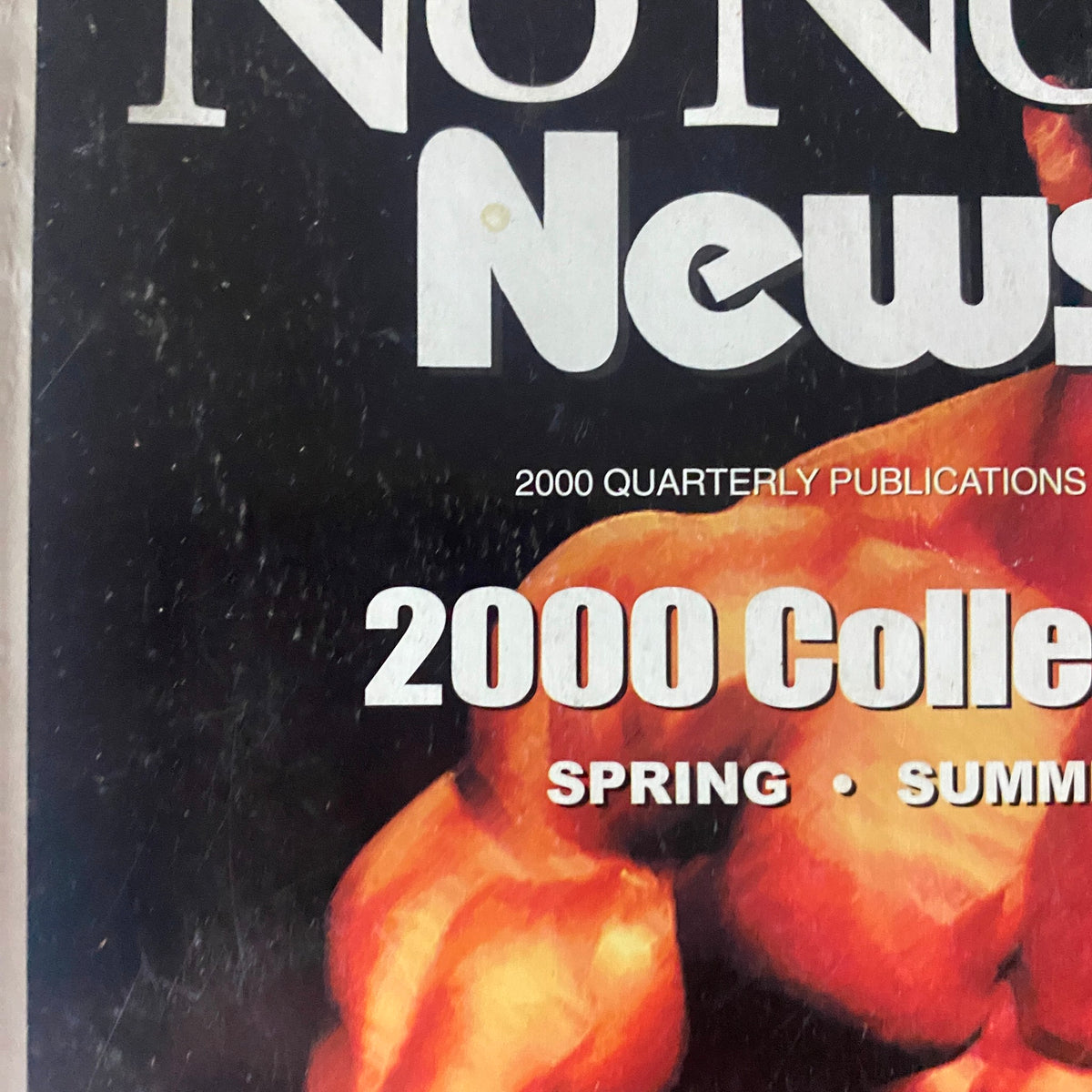 Close-up of the No Nonsense Newsletter 2000 Collector's Edition title page, showcasing '2000 Collector’s Edition' and seasonal editions: Spring, Summer, Fall, and Winter.