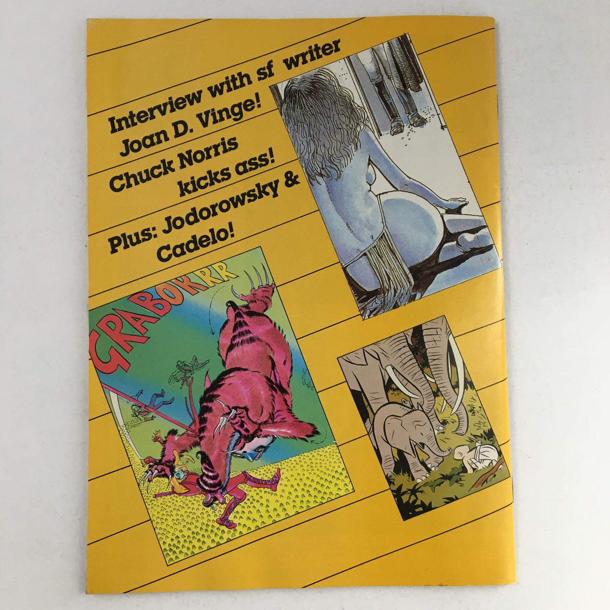 Cover image of a promotional piece from Heavy Metal Magazine, November 1985 issue, highlighting an interview with Joan D. Vinge and featuring vibrant comic art, illustrative of the magazine's eclectic style.