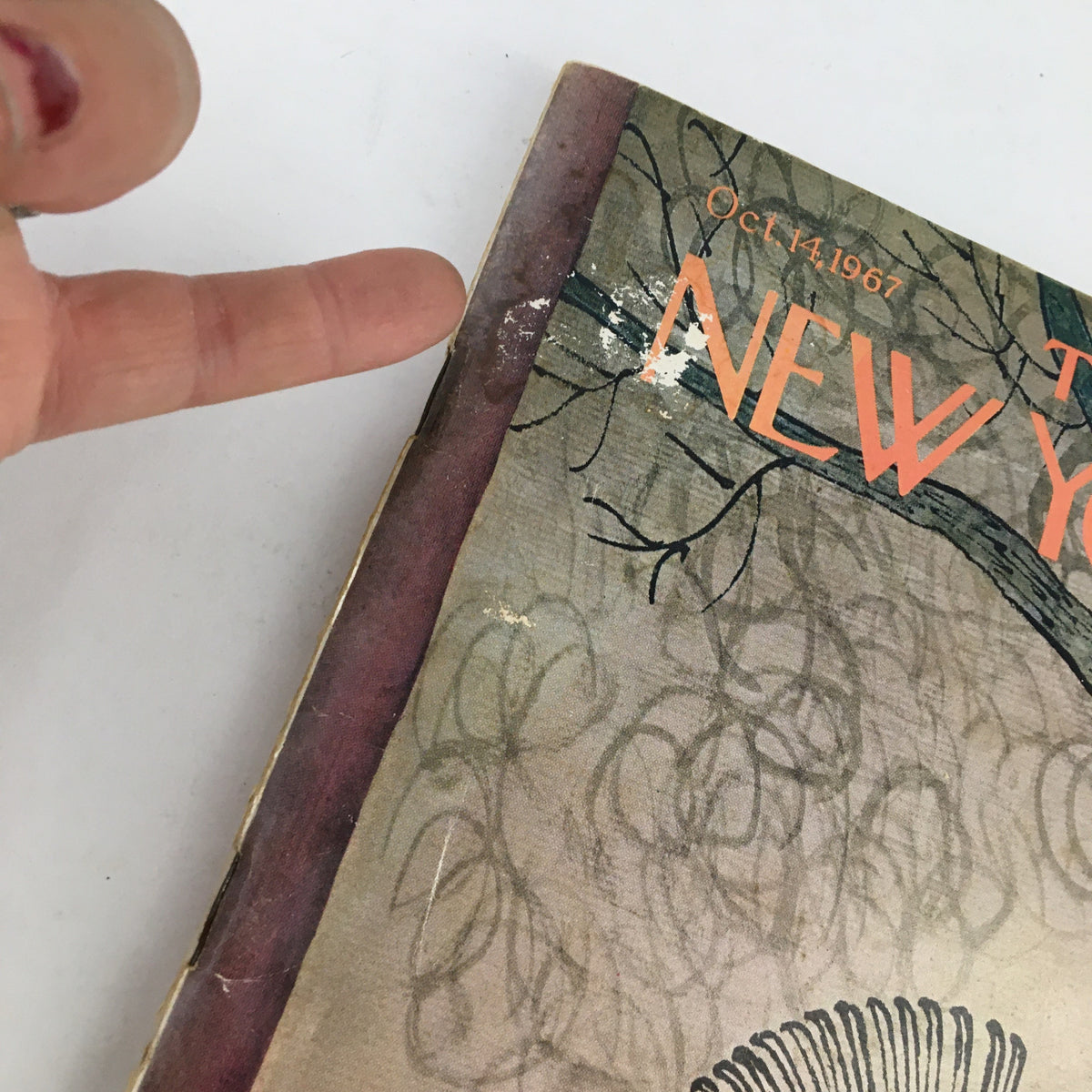 Close-up view of The New Yorker Magazine cover from October 14, 1967, showcasing minor wear and tear, with emphasis on the title and illustration by William Steig.