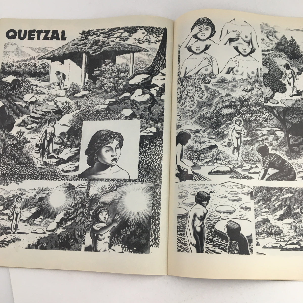 Illustration titled 'Quetzal' from Heavy Metal Magazine February 1979, portraying characters in a mystical landscape with detailed black and white art.