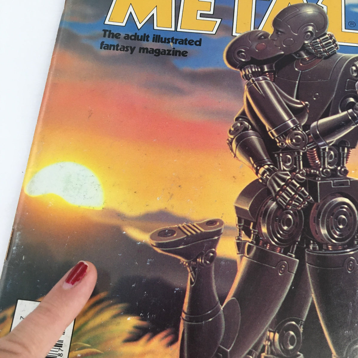 Cover art of Heavy Metal Magazine July 1982 featuring a robotic couple against a sunset, highlighting the adult illustrated fantasy theme.