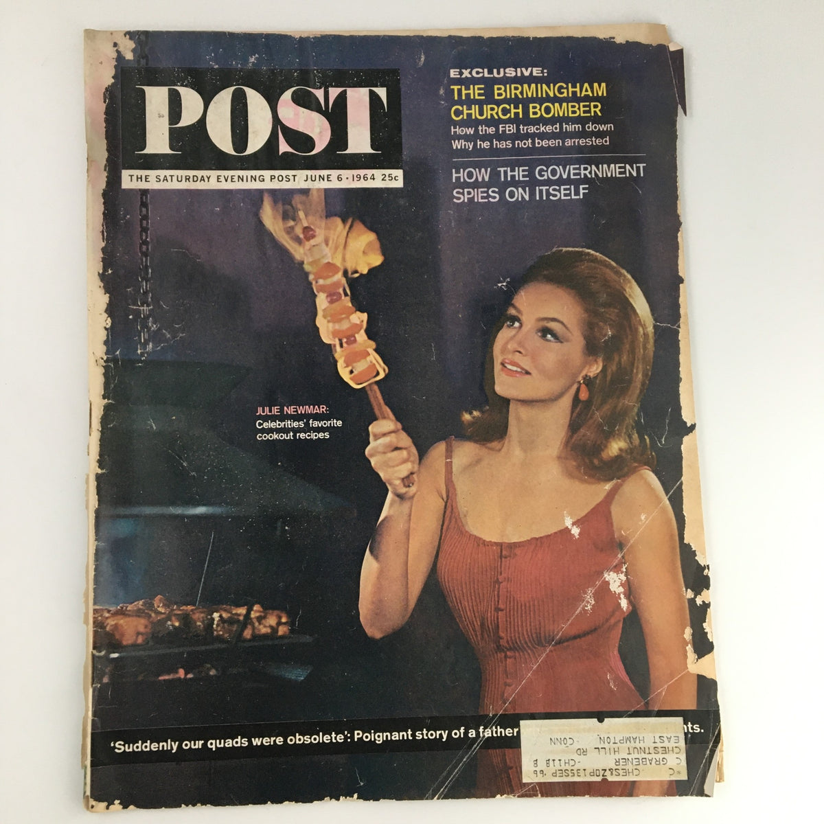 The Saturday Evening Post June 6 1964 cover featuring actress Julie Newmar holding a skewer with grilled food, showcasing her iconic beauty and the magazine’s vintage design.