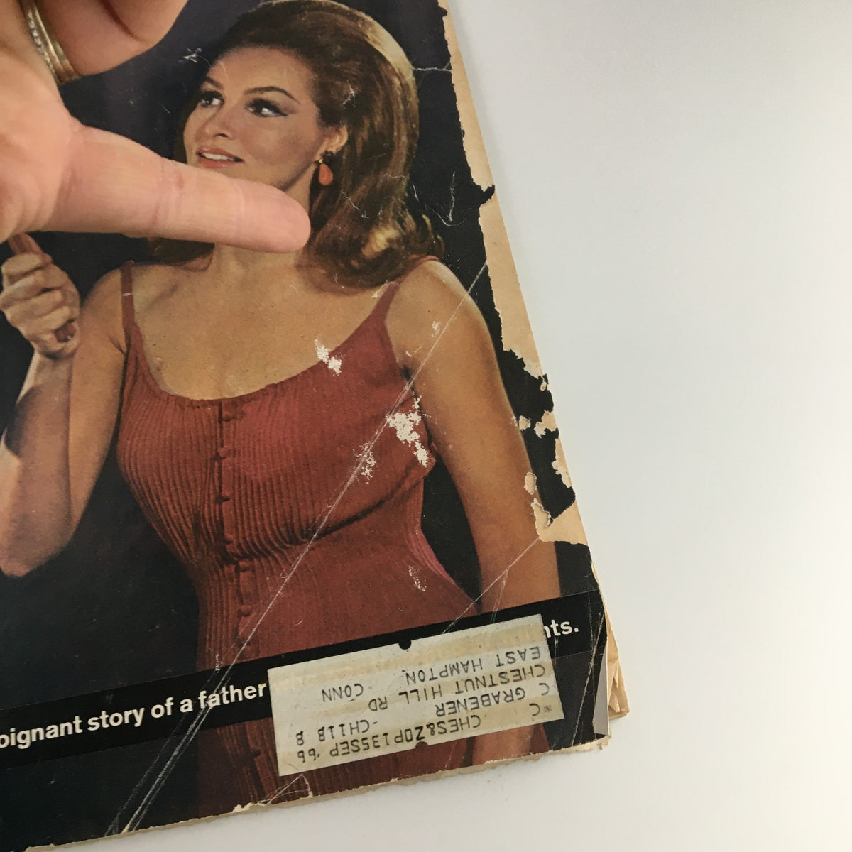 Cover of The Saturday Evening Post from June 6, 1964, featuring American actress Julie Newmar, showcasing vintage magazine aesthetics with notable wear.