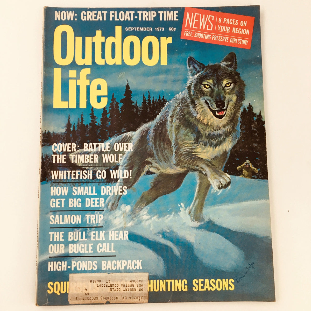 VTG Outdoor Life Magazine September 1973 featuring a captivating cover illustration of a Timber Wolf, highlighting the article 'Battle Over Timber Wolf.' This vintage magazine is a collector's item showcasing outdoor life and wildlife conservation.