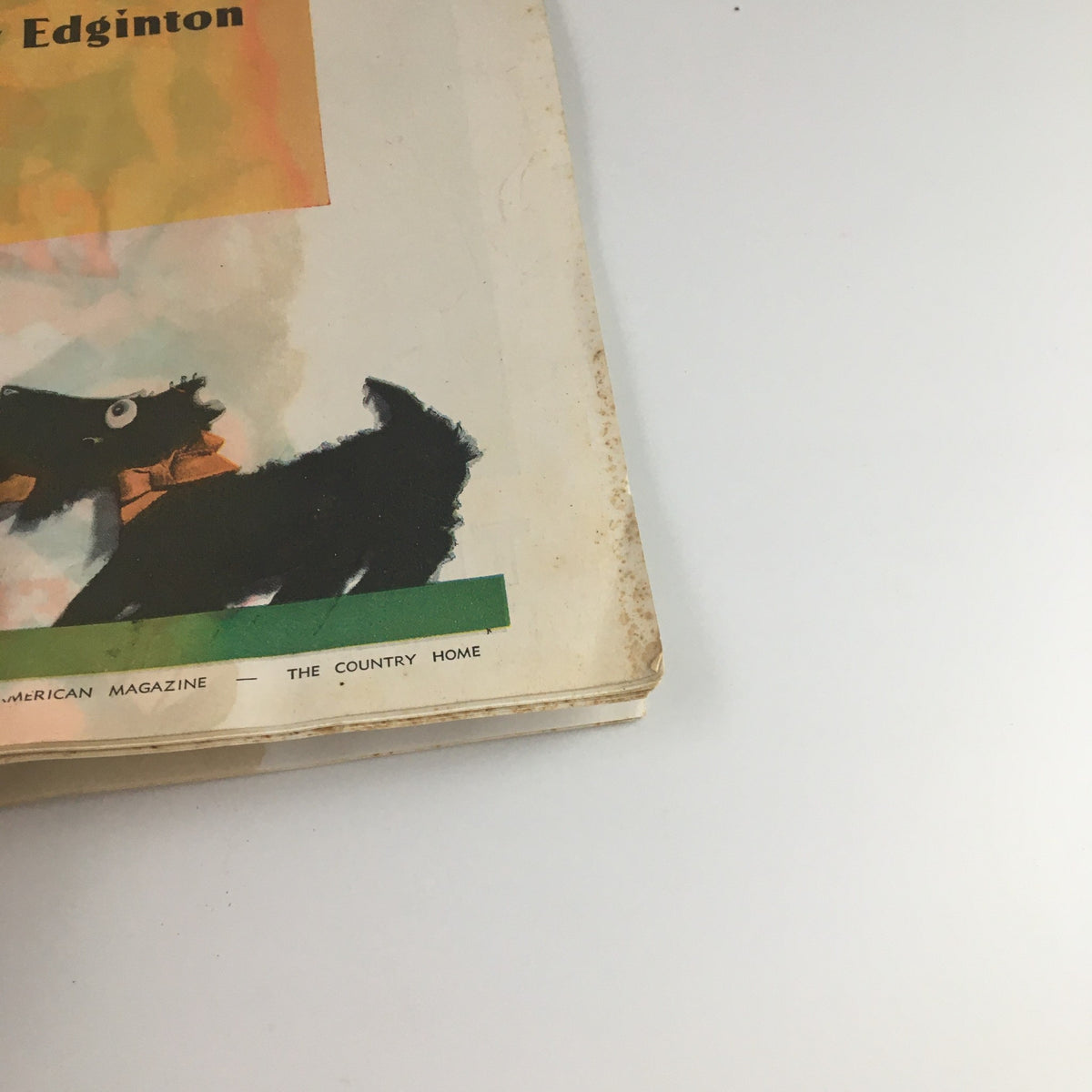 The back cover of VTG Collier's Magazine December 29 1934, displaying an artistic depiction of a dog and title information, complementing the collectible featuring 'Woman of the Family' by May Edginton.