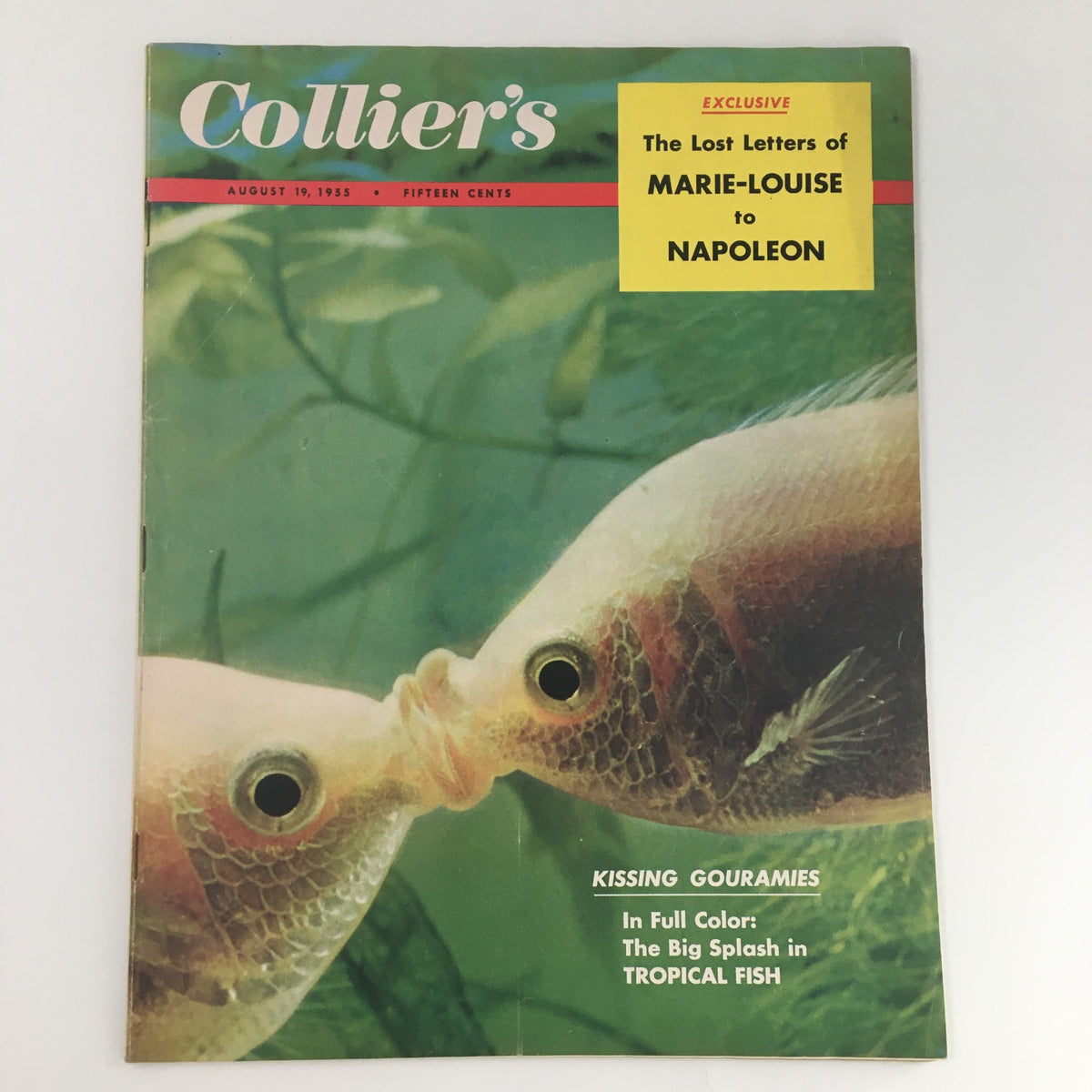 Cover of VTG Collier's Magazine August 19, 1955, featuring a striking image of Kissing Tropical Fish. The magazine showcases vibrant colors and includes a title section with an exclusive feature on the Lost Letters of Marie-Louise to Napoleon.