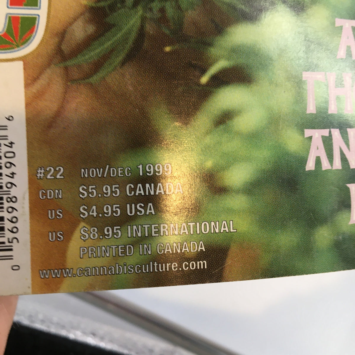 Back cover page of Cannabis Culture Magazine November 1999 showing subscription pricing and information on availability in different regions.