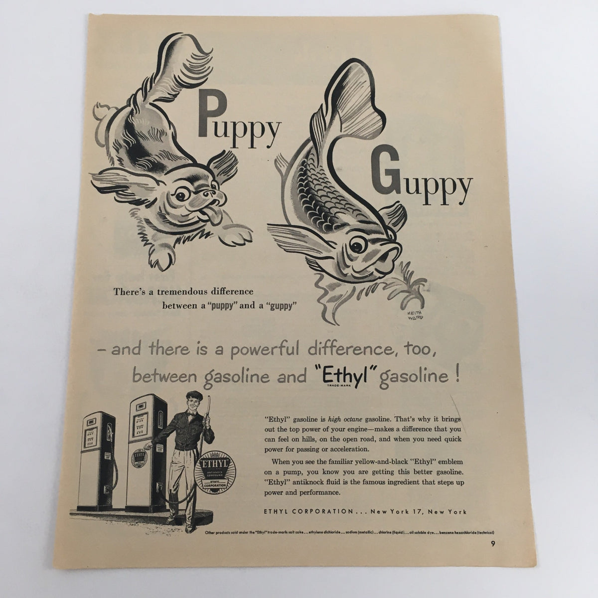 Vintage 1950 Ethyl High Octane Gasoline Anti Knock Compound ad featuring a playful illustration of a puppy and a guppy, highlighting the difference between gasoline and Ethyl gasoline.