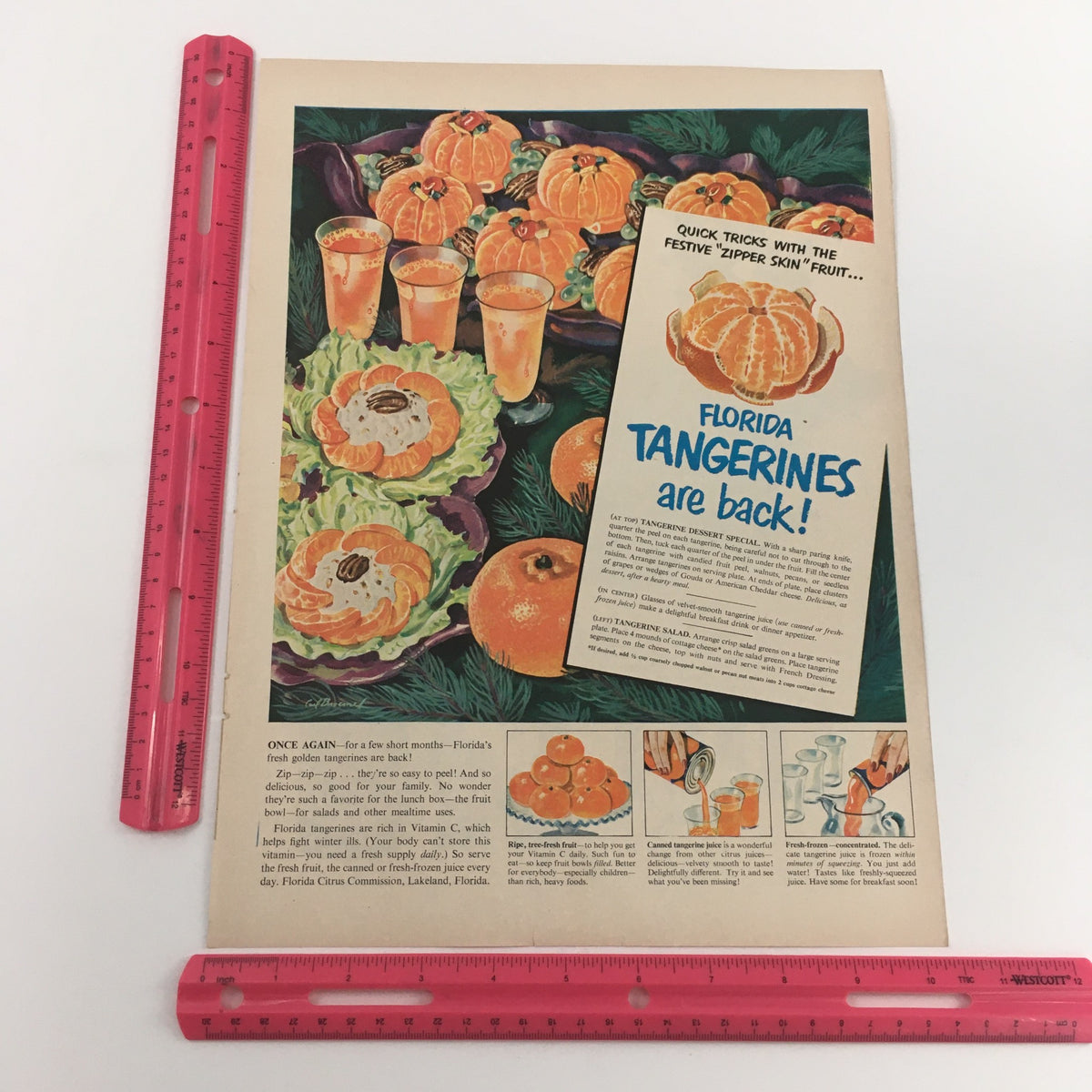 Florida Tangerines Vintage Print Ad with colorful illustrations of tangerines and related dishes, and measuring tools for reference, promoting the return of Florida tangerines.