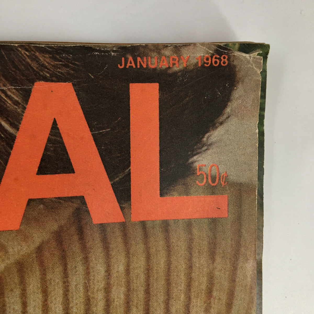 Close-up of the date and pricing on the Ladies' Home Journal Magazine January 1968 cover, prominently displaying 'January 1968' and the price '50c'.