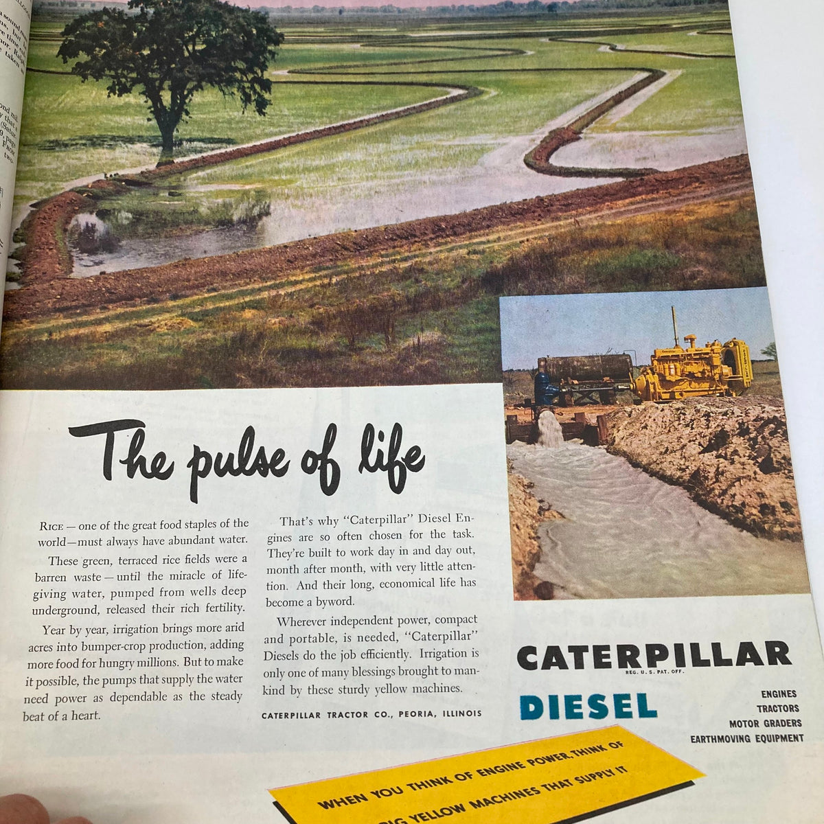 Advertisement for Caterpillar Diesel equipment in the Saturday Evening Post Magazine from July 23, 1949, emphasizing the importance of irrigation.