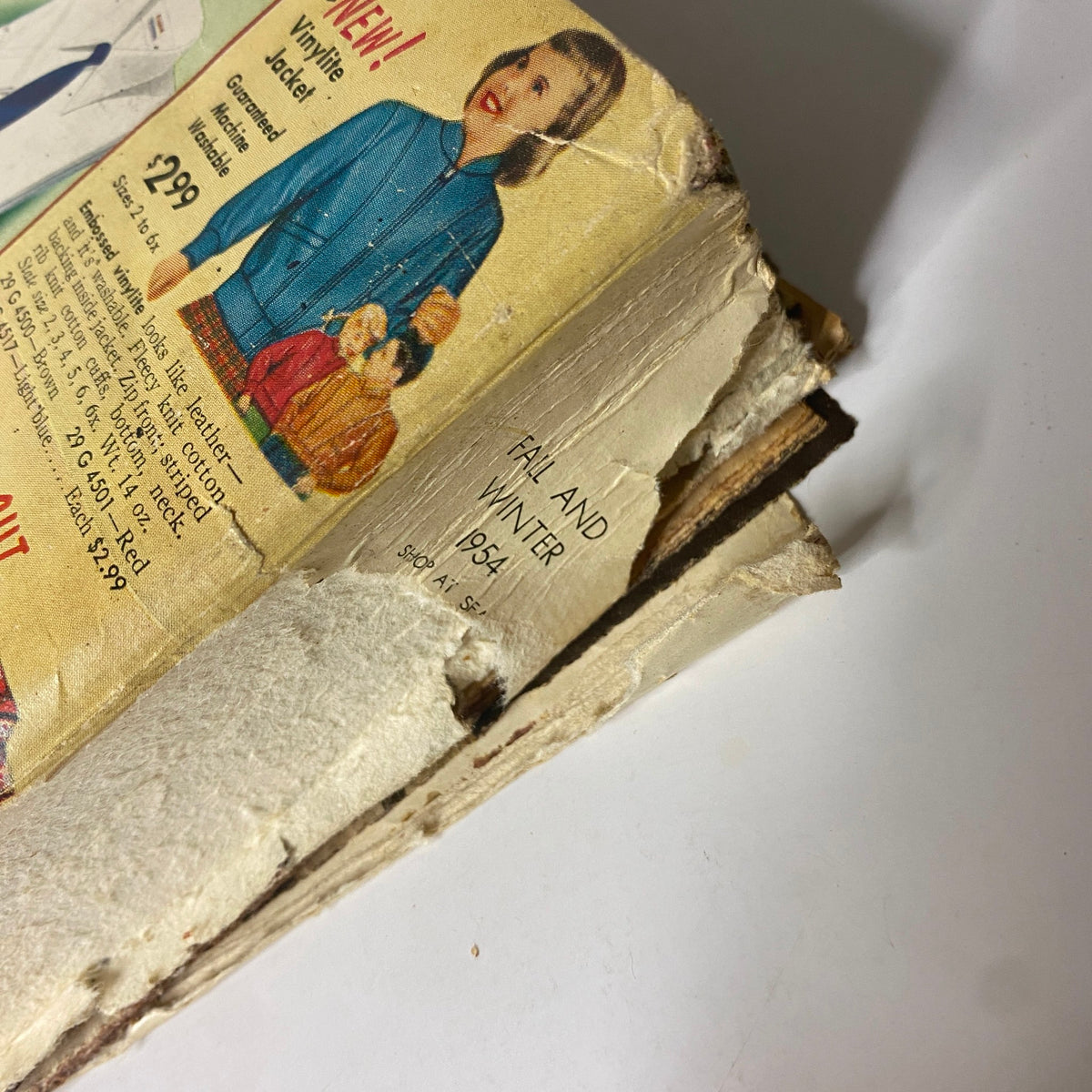 Close-up view of the 1954 Sears Roebuck and Co. Fall and Winter Catalog showing the cover design and ads for a vinyl jacket, highlighting its $2.99 price. The catalog illustrates vintage fashion and style from the mid-20th century.