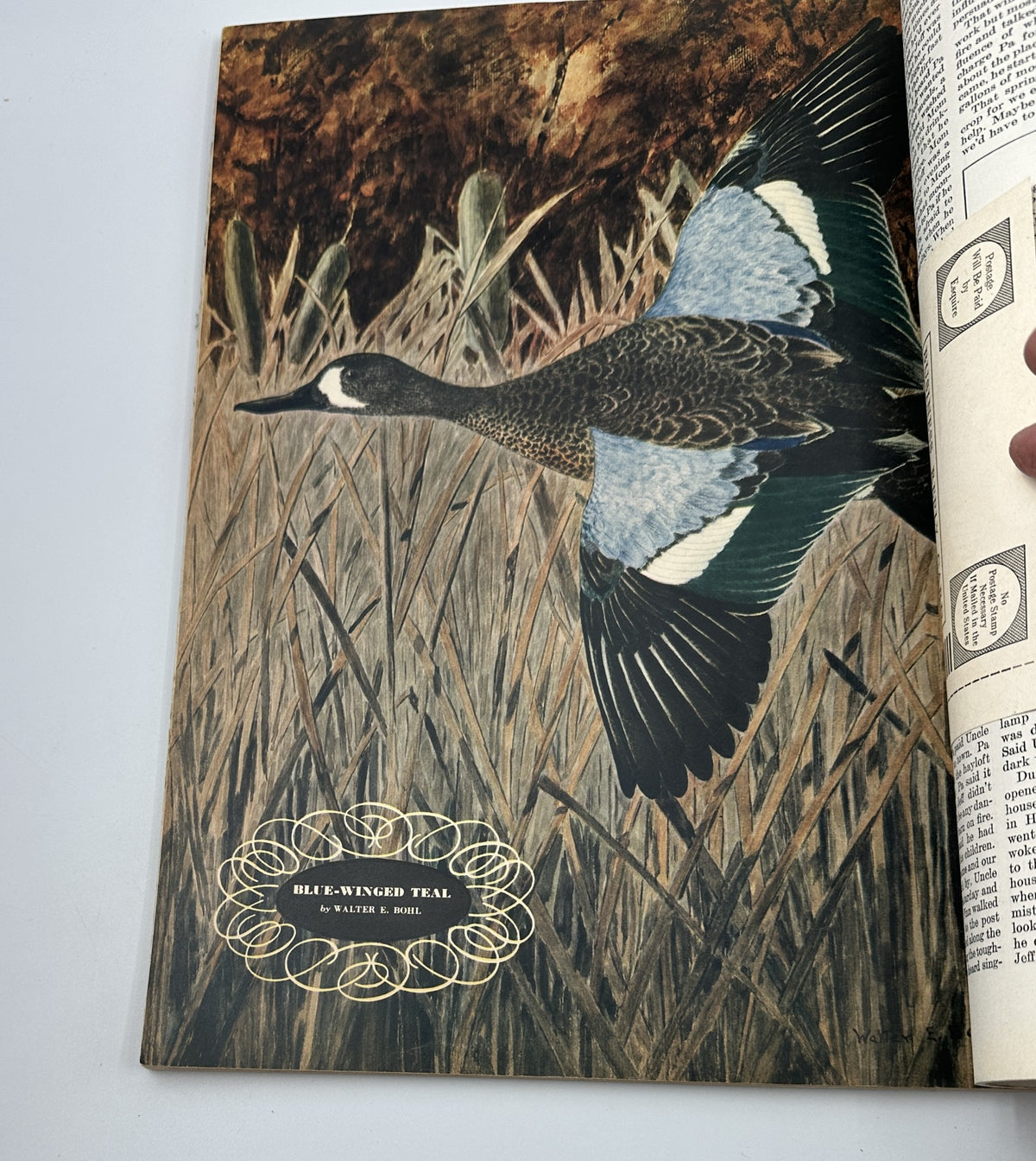 Artistic depiction of a blue-winged teal bird in flight from Esquire Magazine February 1943, illustrating nature's beauty within the publication.