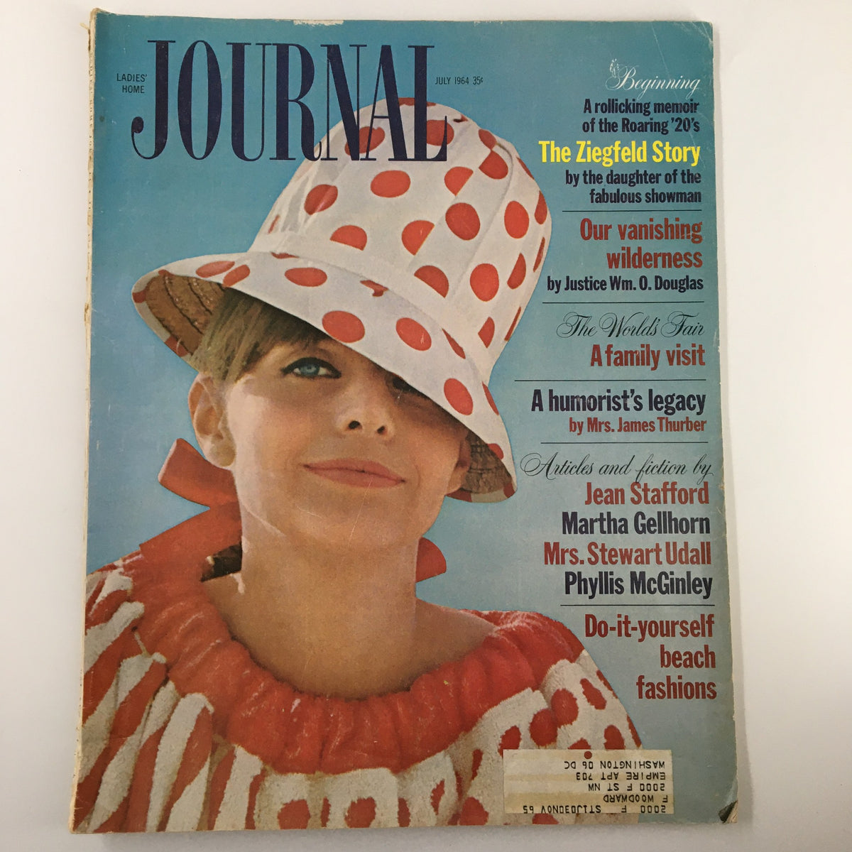 Cover of Ladies' Home Journal Magazine, July 1964, featuring the article 'Our Vanishing Wilderness' by J. Douglas, with a model in a polka dot hat and a colorful outfit, reflecting 1960s fashion.