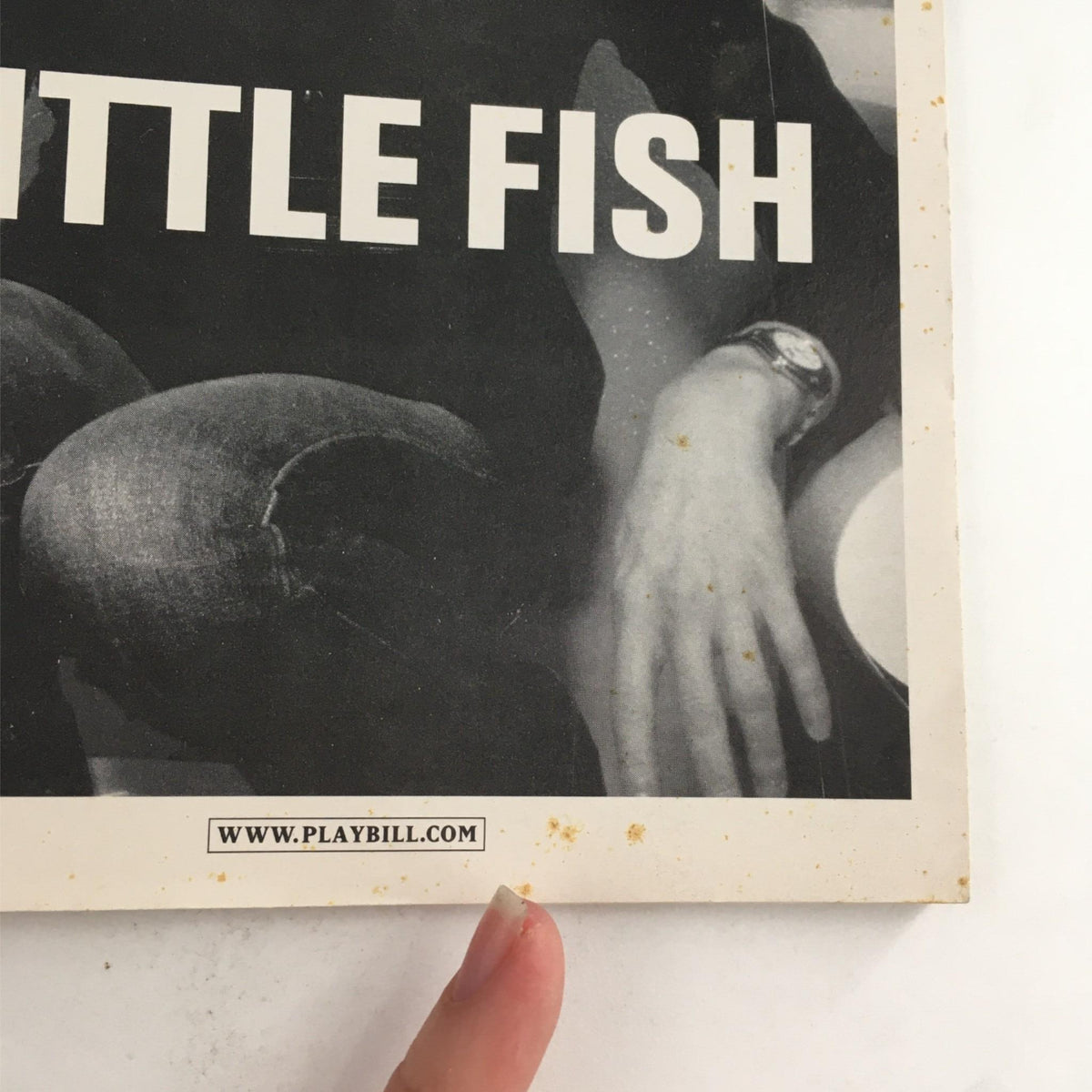 Close-up of the bottom section of the 2003 Playbill Little Fish by Michael John LaChiusa, indicating the official Playbill website.